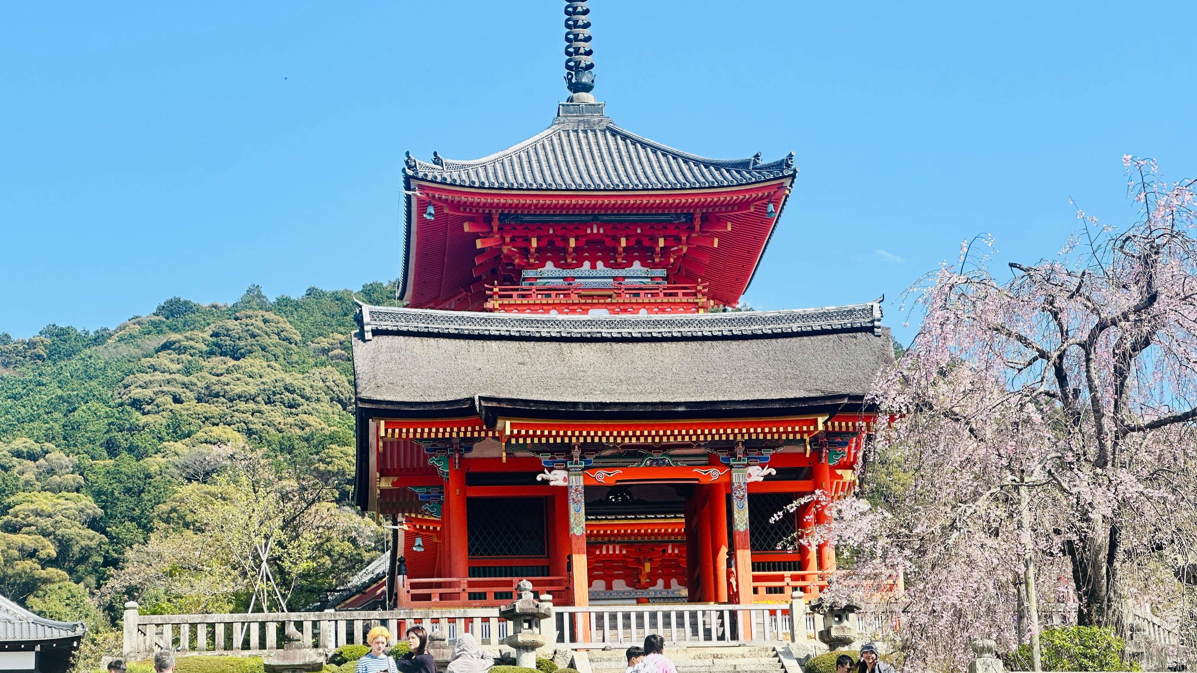 Privat høydepunkts-tur i Kyoto med sjåfør og engelskspråklig guide