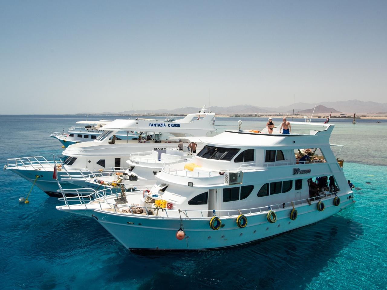 Tiran Island Snorkel & Dive Cruise from Sharm El-Sheikh with Buffet Lunch