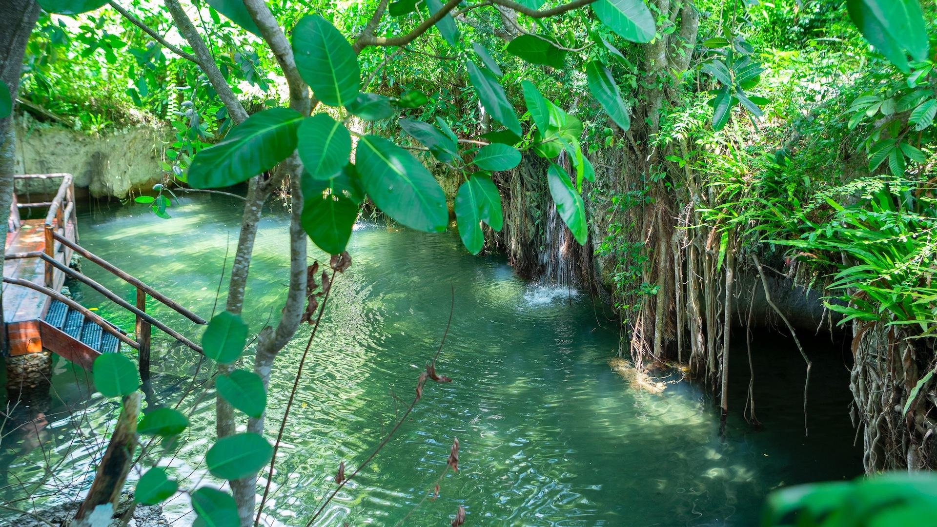 Punta Cana Monkey Park, Dominican Farm & Cenote Swim – Full Day Combo