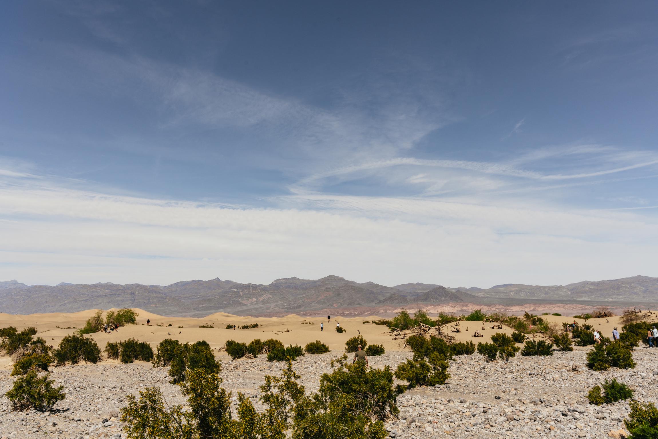 Death Valley national park tour from Las Vegas — Badwater Basin salt flats, Zabriskie Point badlands and Mesquite sand dunes — image 12