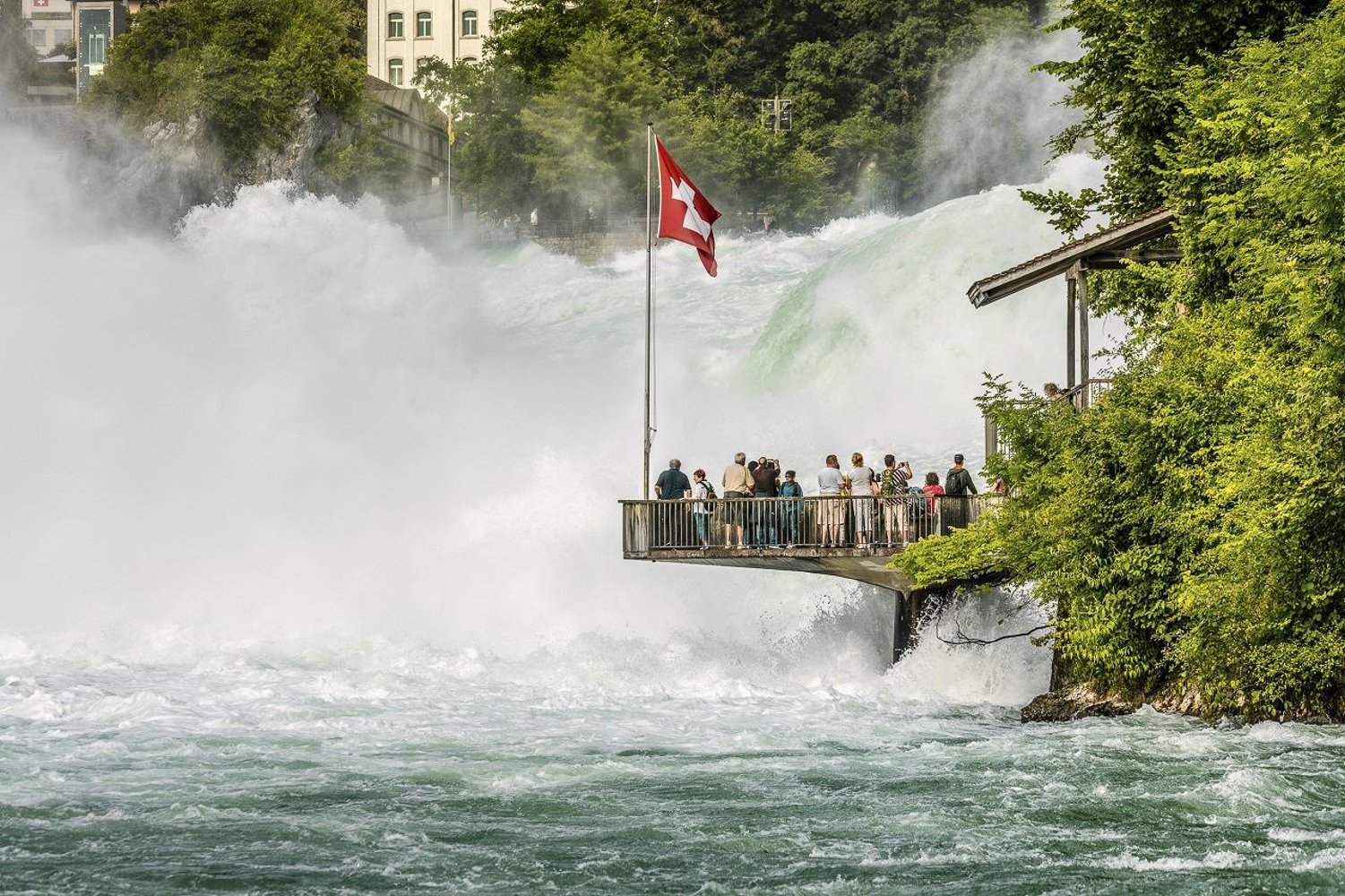 From Zurich: Stein am Rhein and Rhine Falls