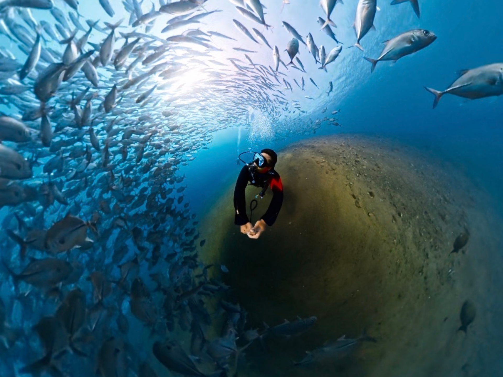Private Beginner Scuba Diving in Tulamben