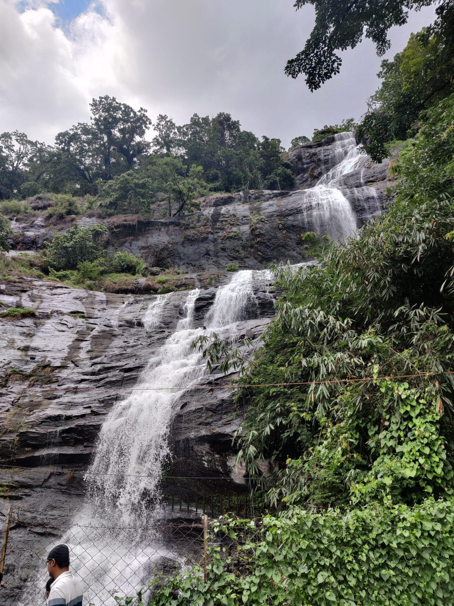 5-Day Kerala Escape: Munnar Hills, Thekkady Wildlife & Alleppey Houseboat