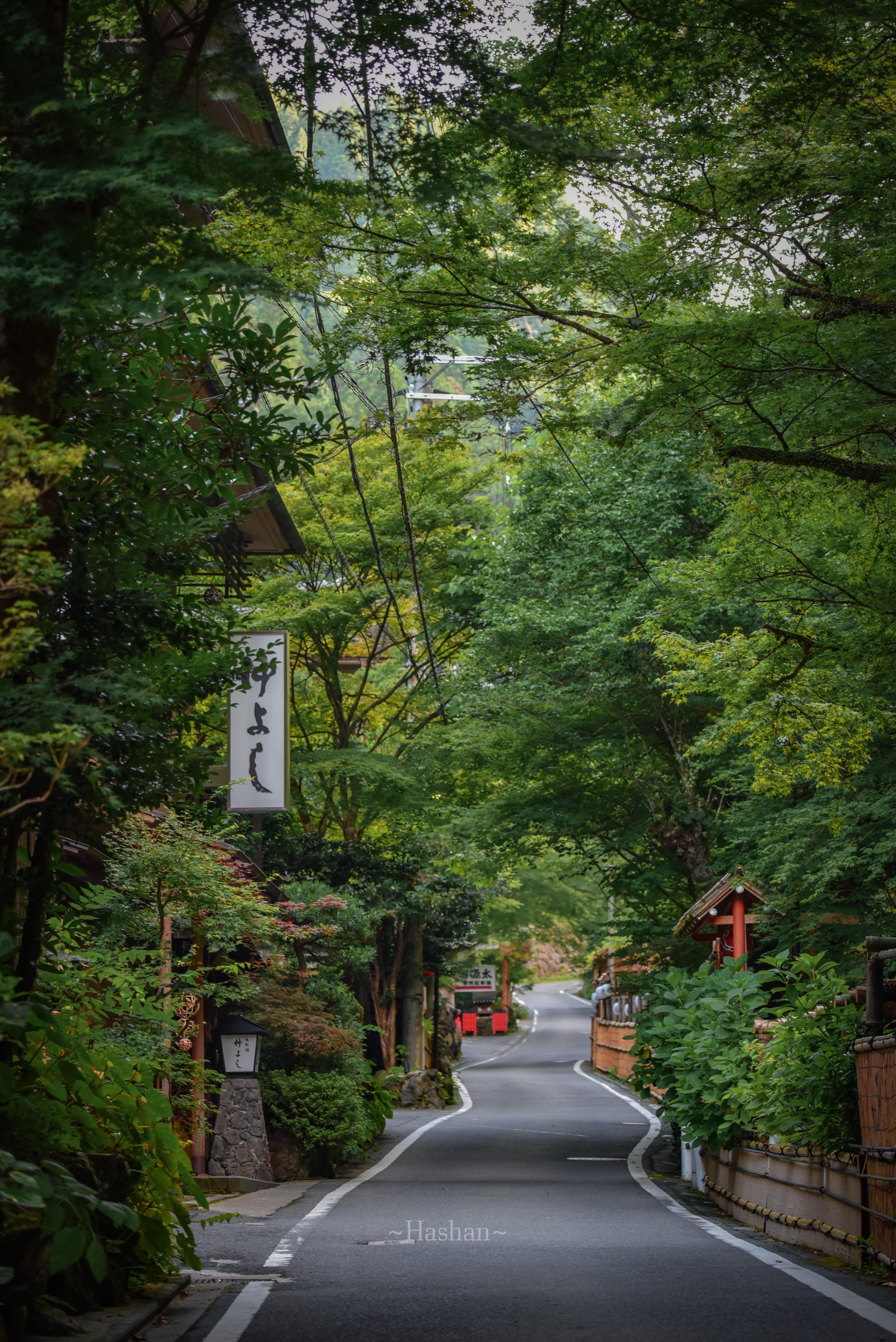 Kyoto Private Day Tour with Guide & Vehicle