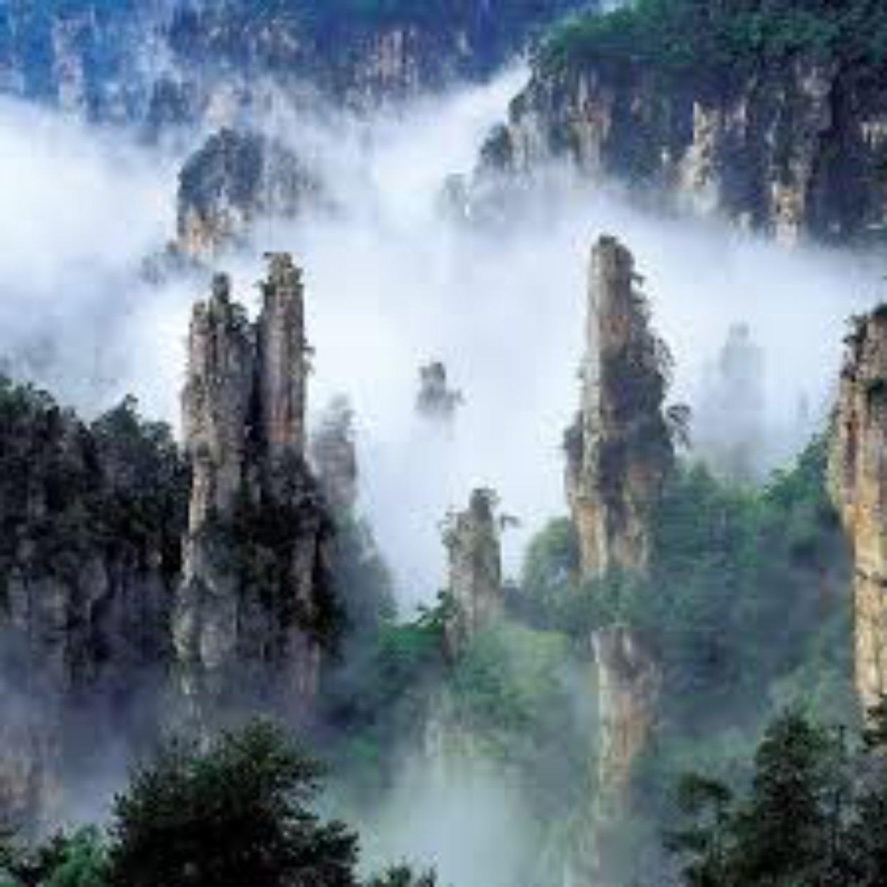 Zhangjiajie Avatar Mountains: Private Full-Day Park Tour
