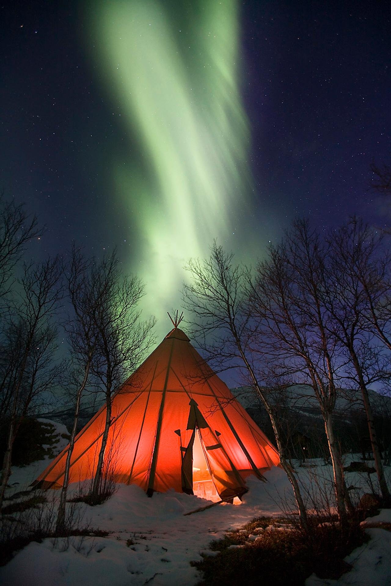 Kiruna Husky Sledding & Aurora Search with Campfire Snacks