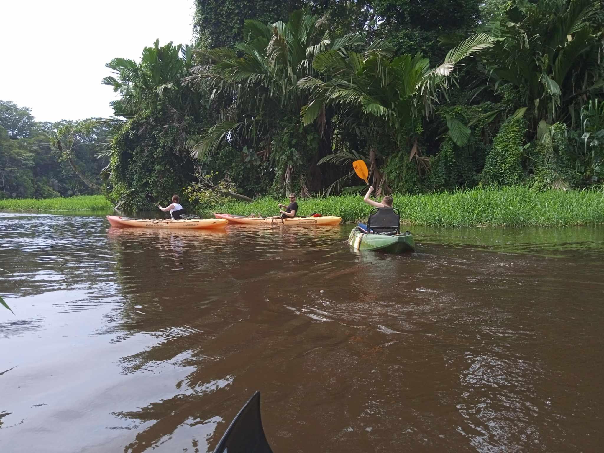 Tortuguero National Park Canoe Wildlife Tour