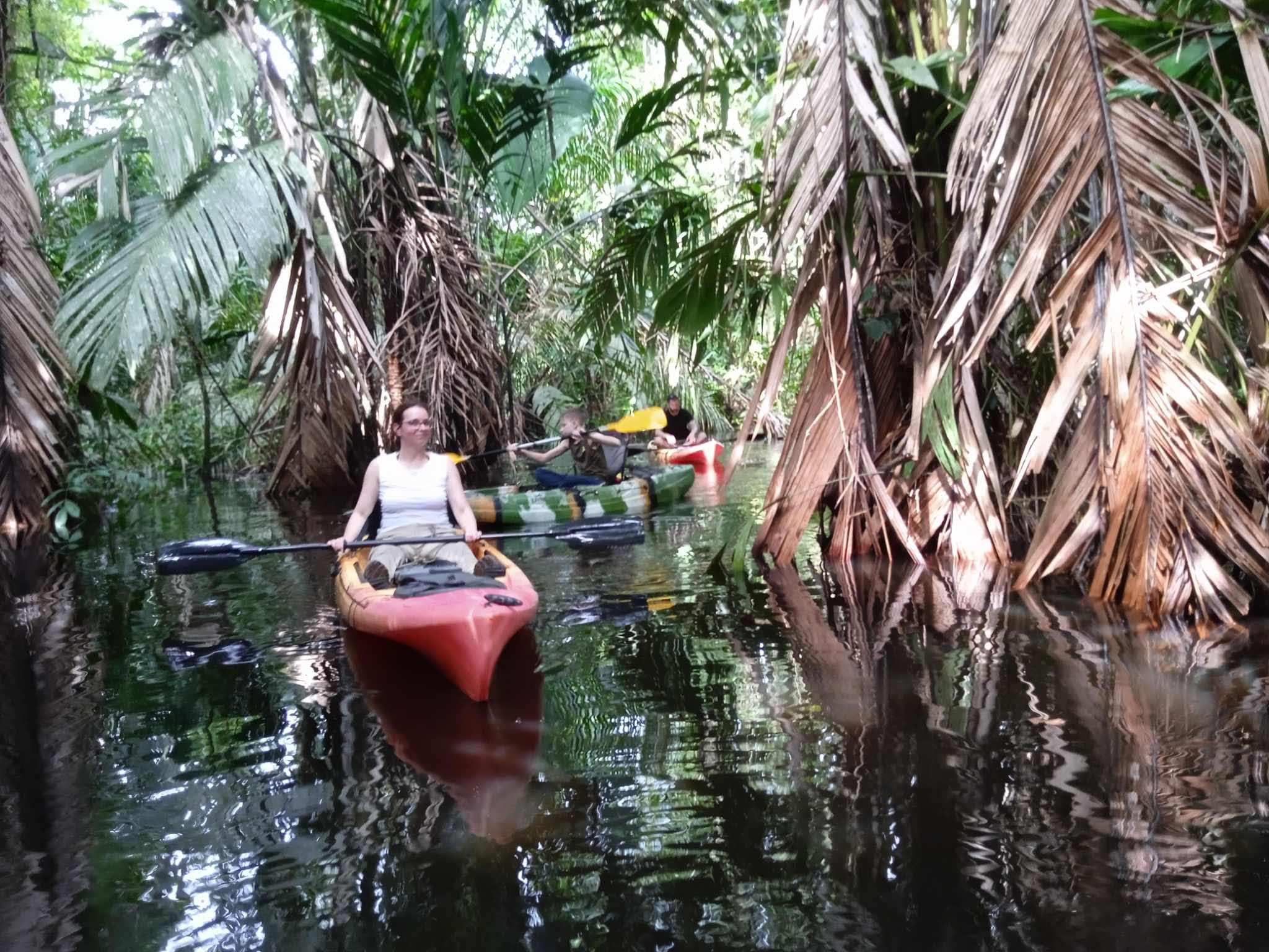 Tortuguero National Park Canoe Wildlife Tour