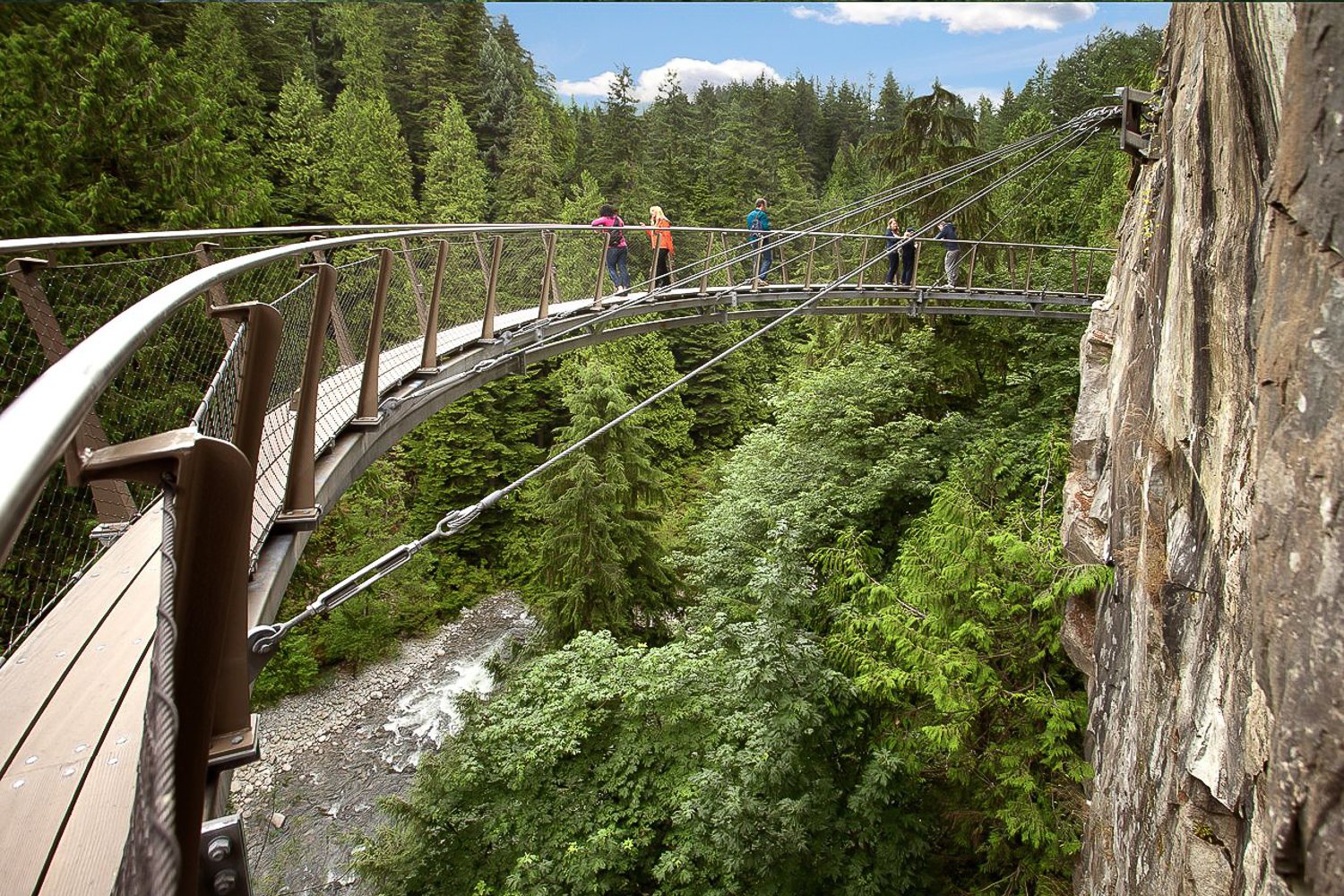 Capilano Suspension Bridge & Grouse Mountain Full-Day Tour