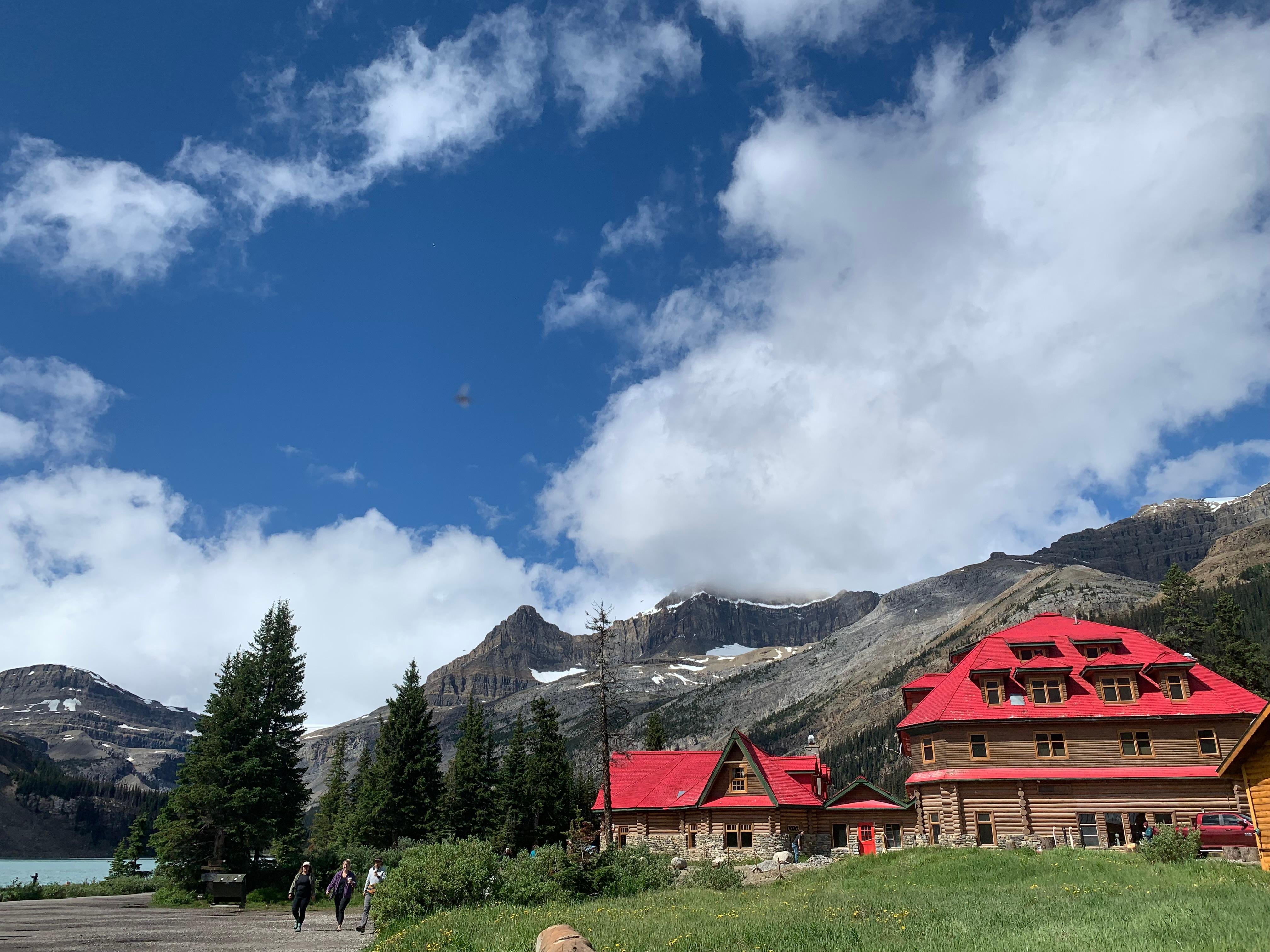 Banff & Jasper: Columbia Icefield, Bow Lake Peyto Lake Tour - 2026 (Verified Reviews)
