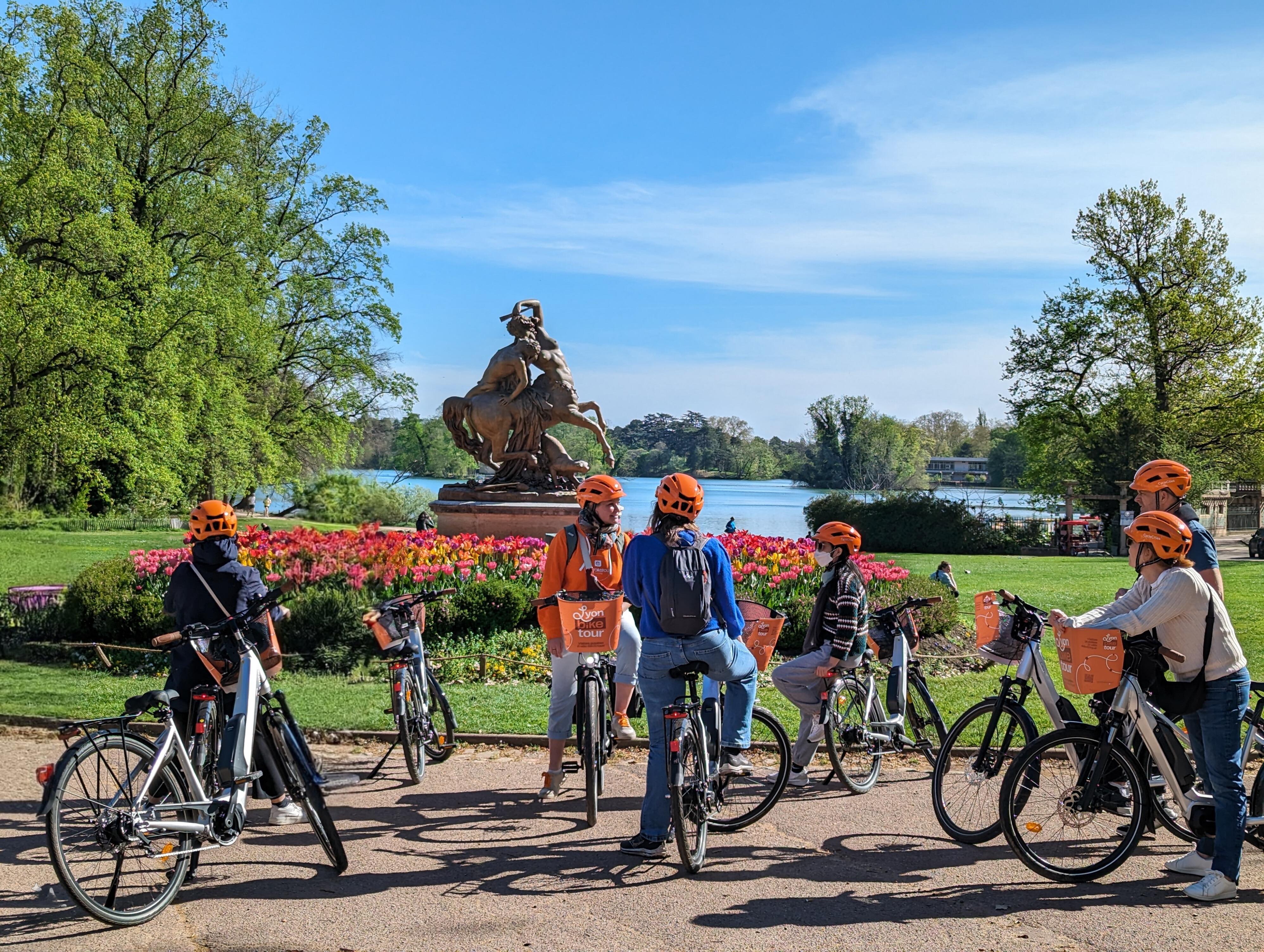 Lyon Electric Bike Tour with Local Guide