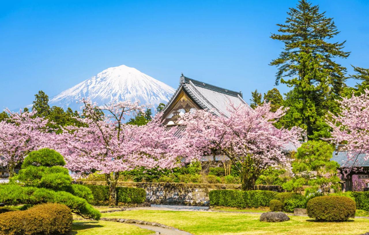 Mt. Fuji Day Tour: Scenic Stops & Lake Kawaguchi Cruise from Tokyo