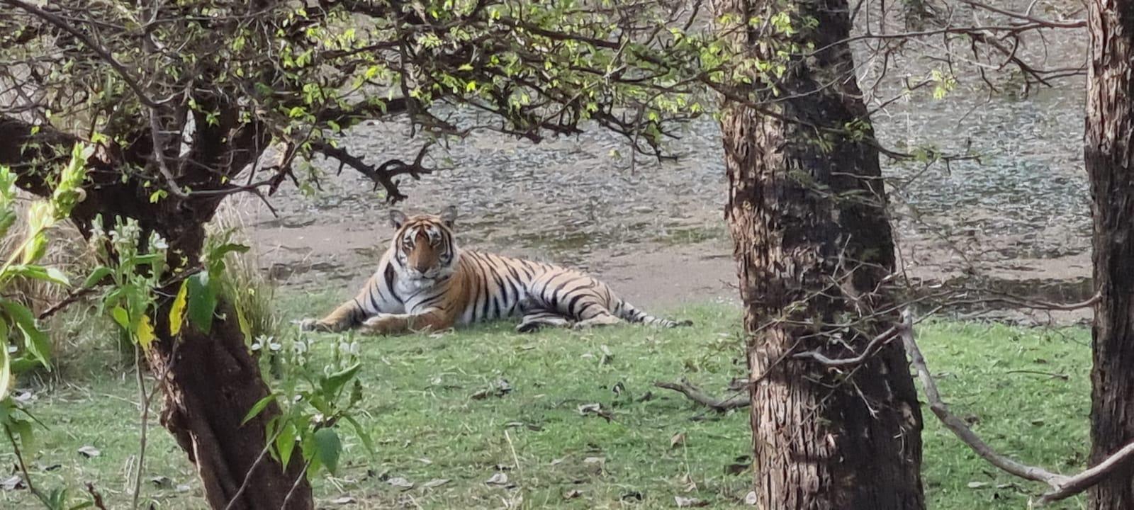 4-Day Golden Triangle & Ranthambore Private Expedition