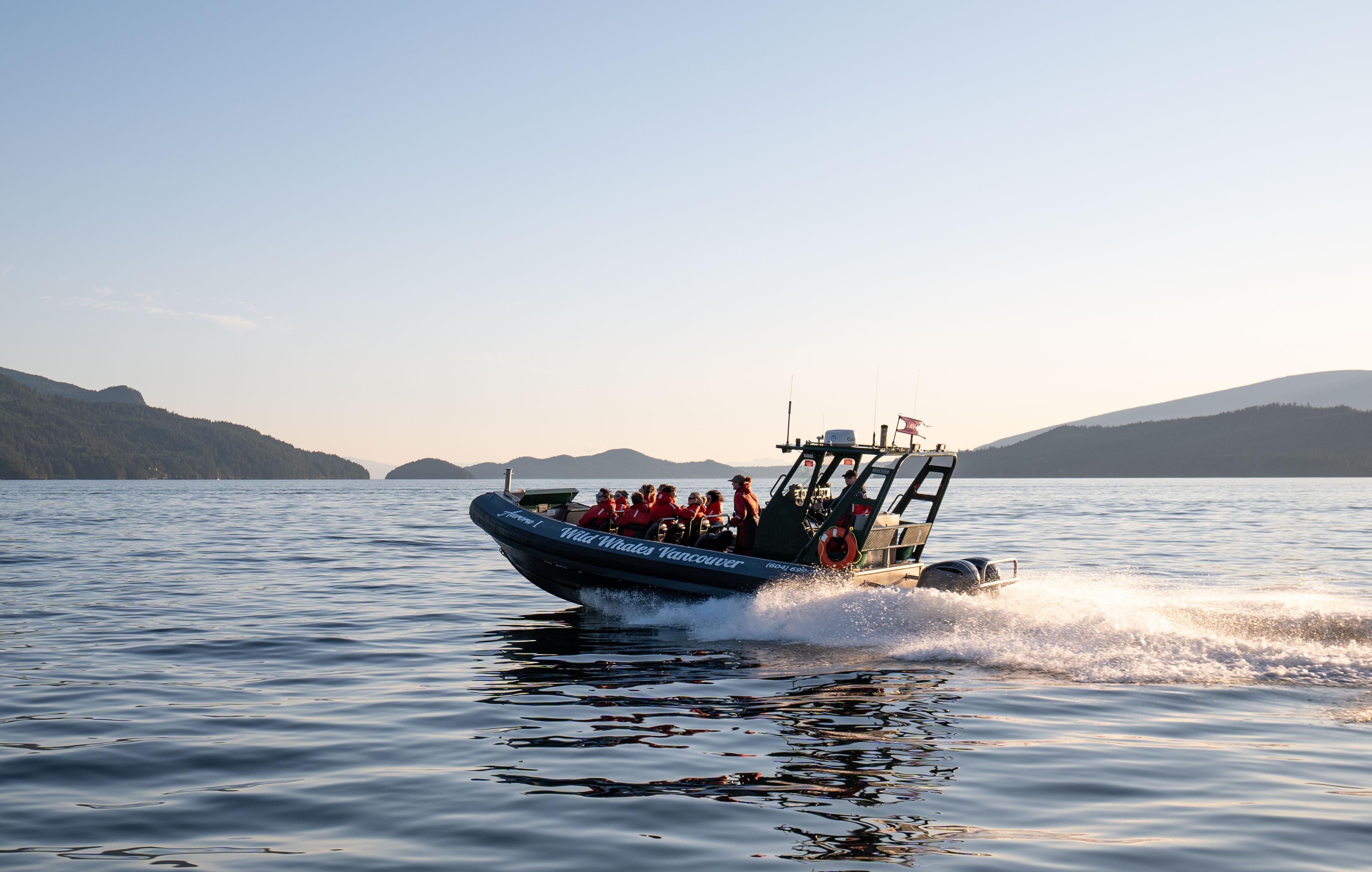 Vancouver: Small-Group Zodiac Whale Watching from Granville Island