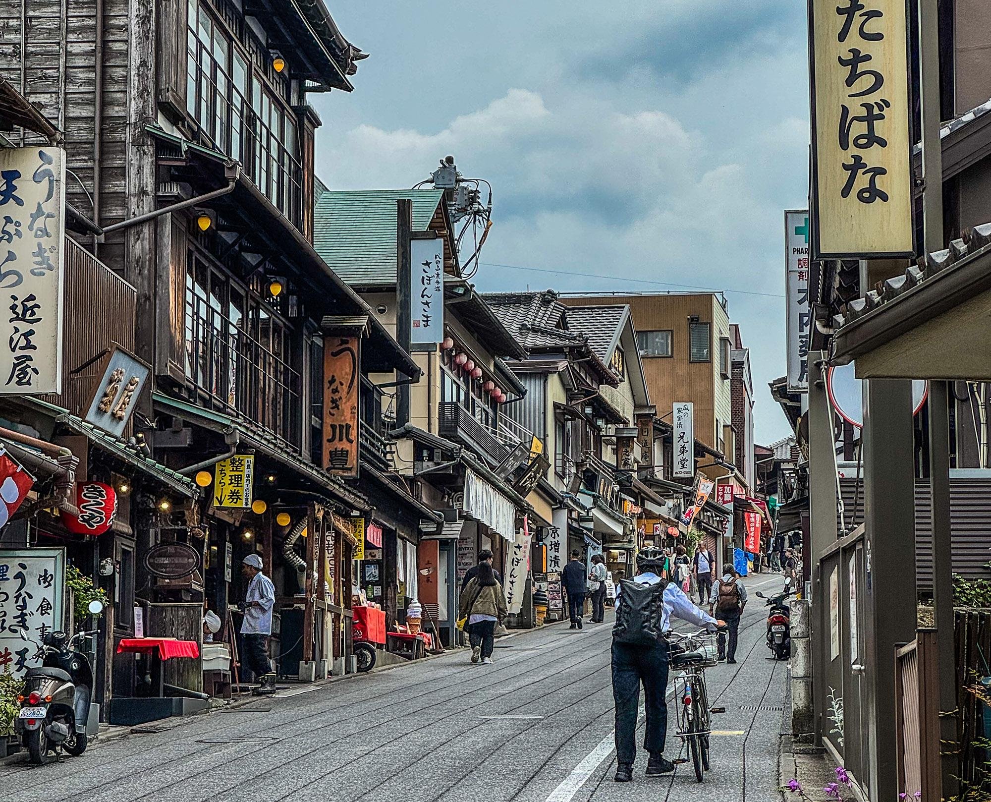 Narita Layover: Shinshoji Temple & Omotesandō Private Tour