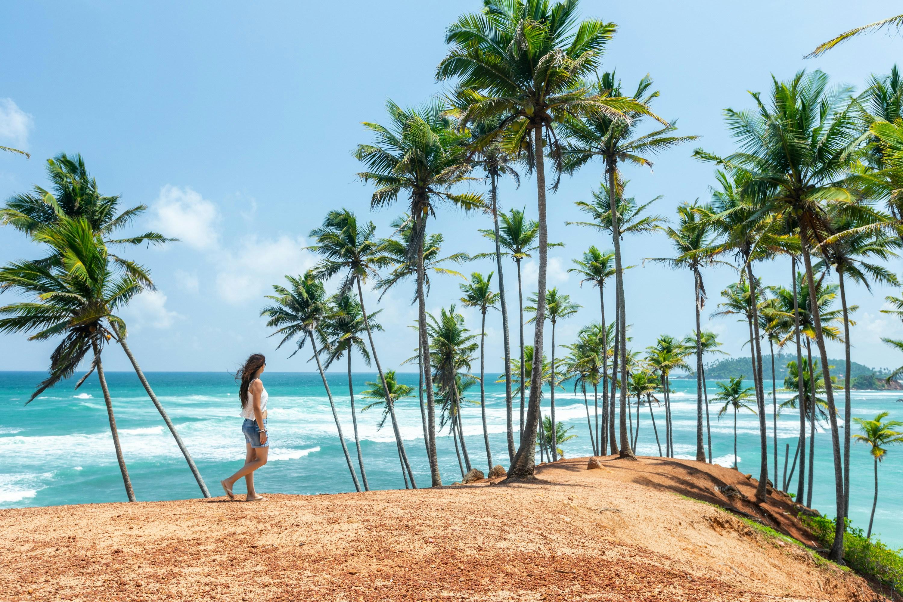7-Day Private Sri Lanka Highlights Tour (2026)