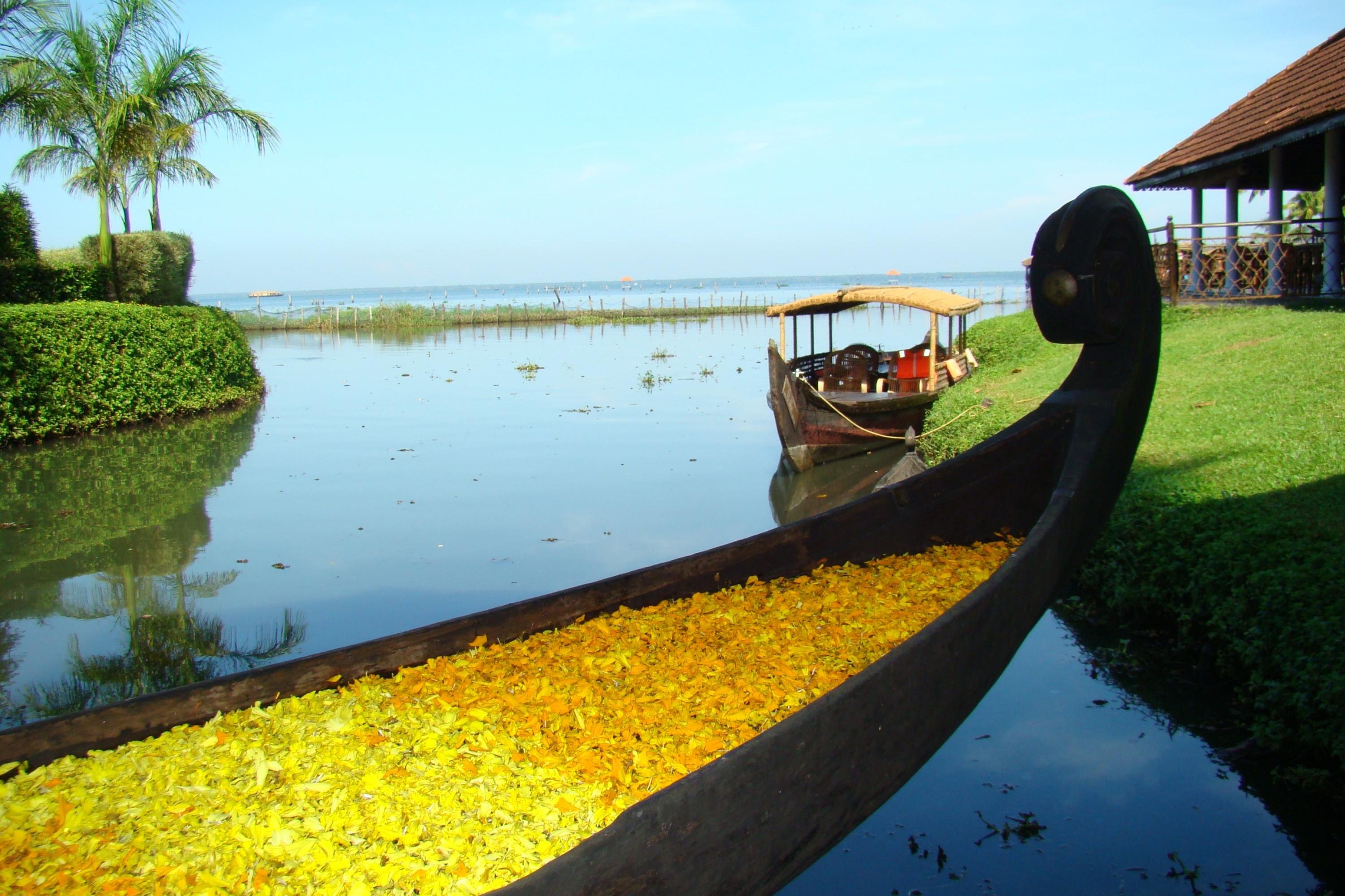 5-Day Private Kerala Escape: Munnar, Thekkady & Alleppey