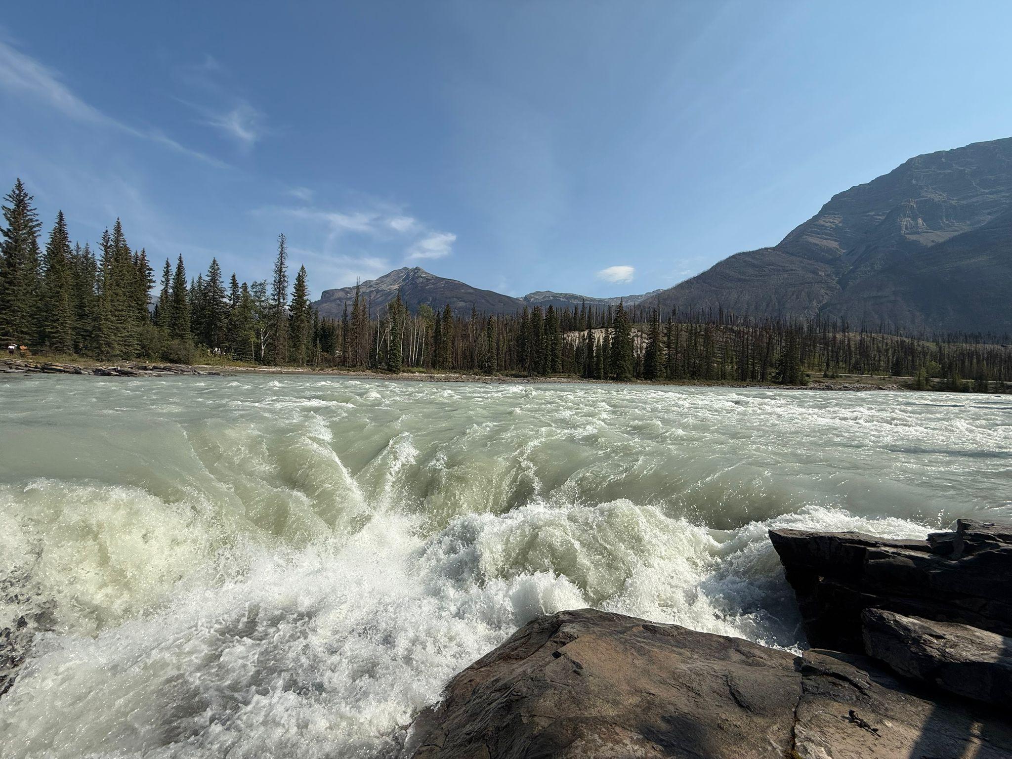Sunwapta & Athabasca Falls, Peyto & Bow Lake, Icefields Parkway