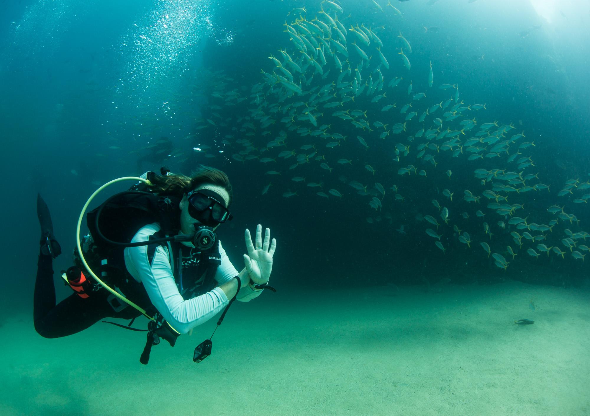 Cabo San Lucas Marine Park: Two-Tank Scuba Diving Adventure