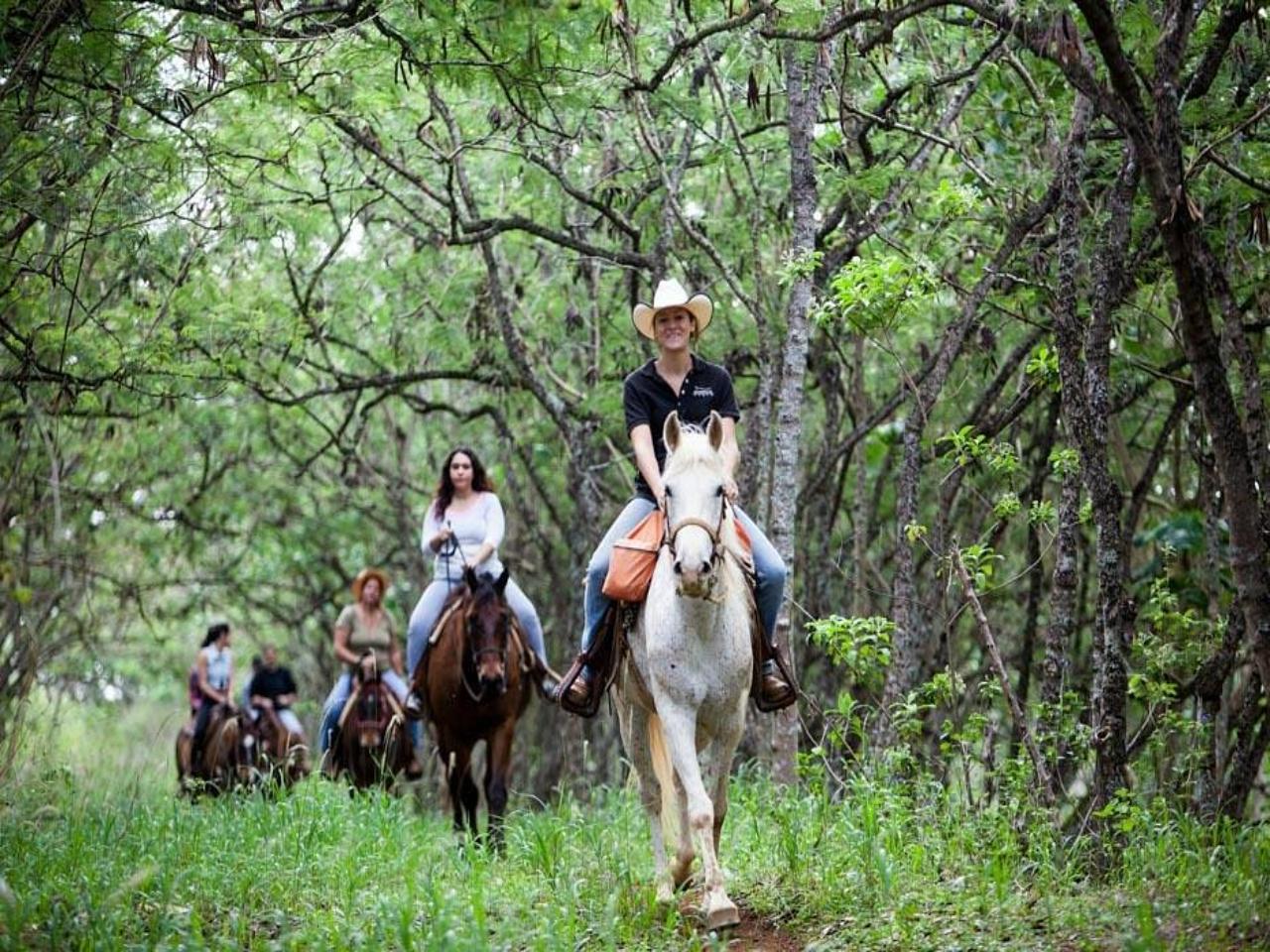 North Shore Horseback Ride with Coastal & Mountain Panoramas