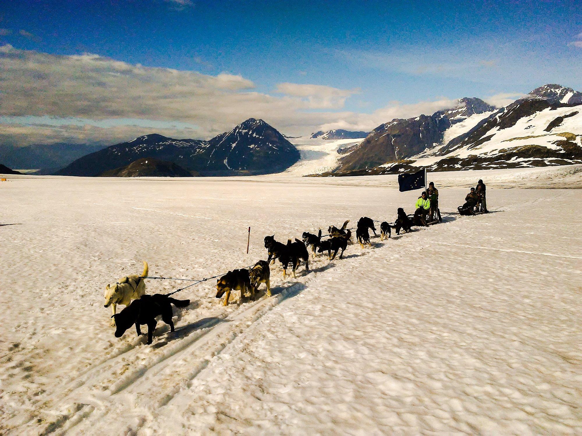 dog sledding in Anchorage — photo 1
