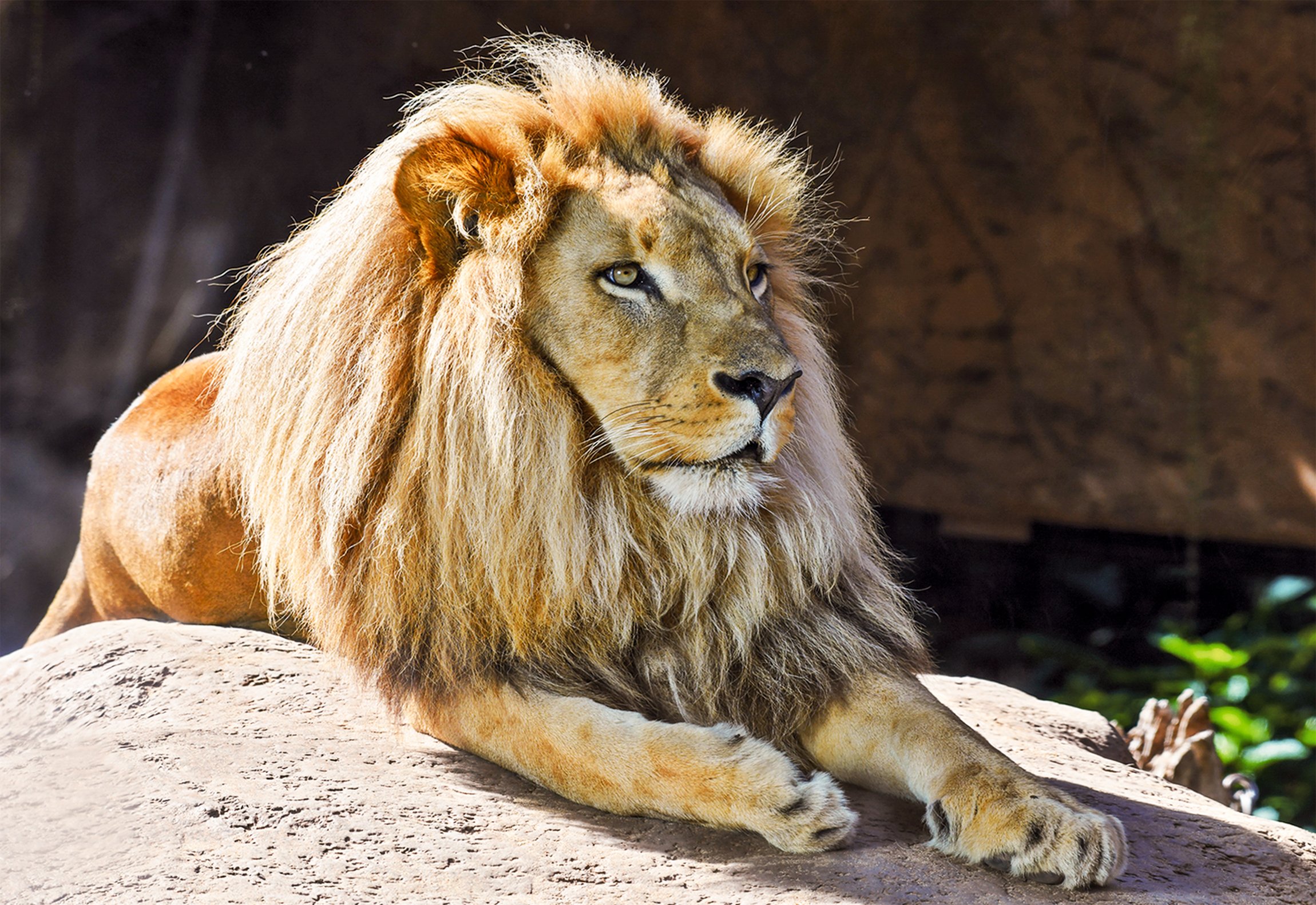 Loro Parque Tenerife Official Entry Ticket