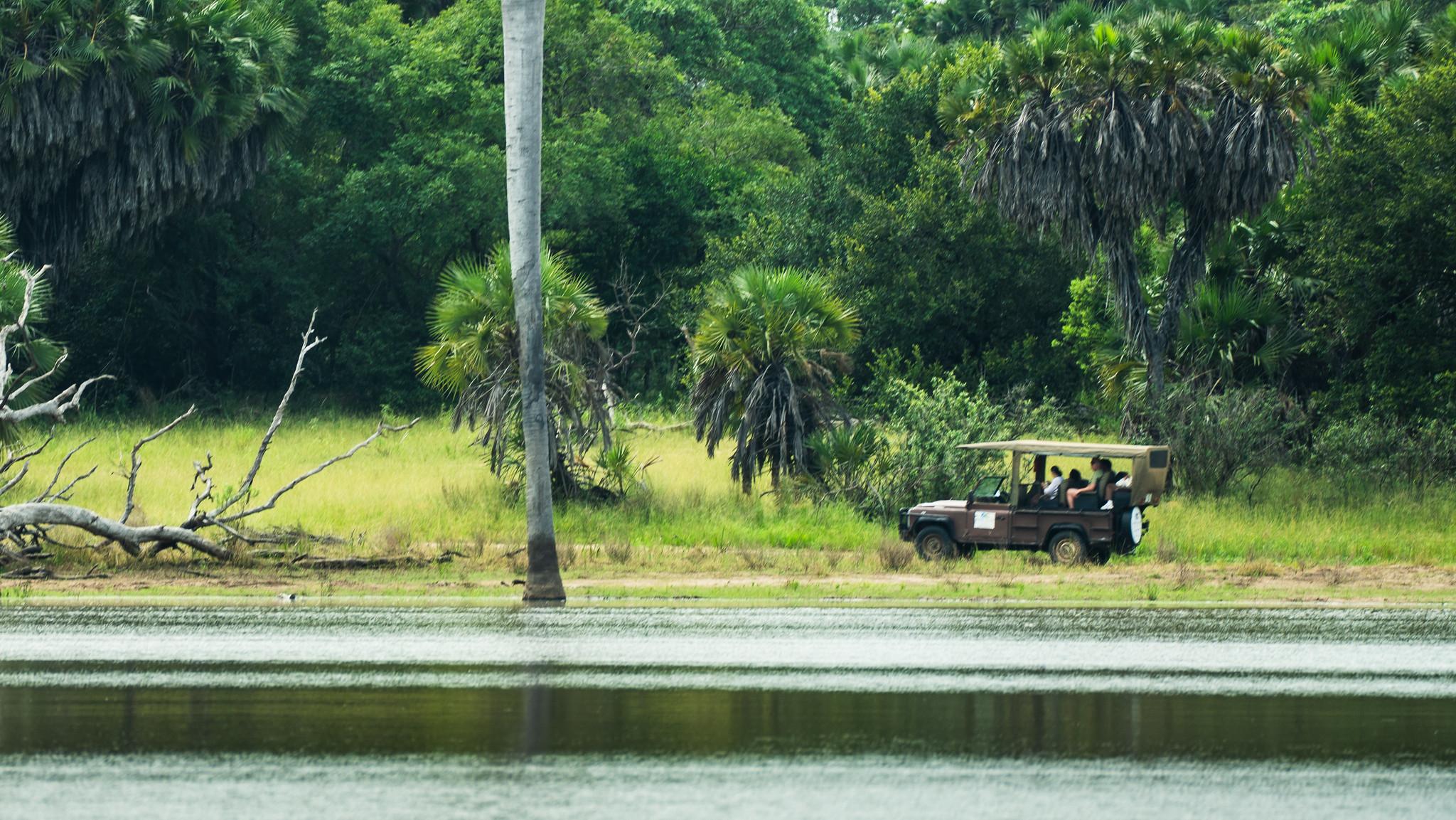 Zanzibar to Selous: Full-Day Safari with Bush Lunch (+ 2-Day Option)