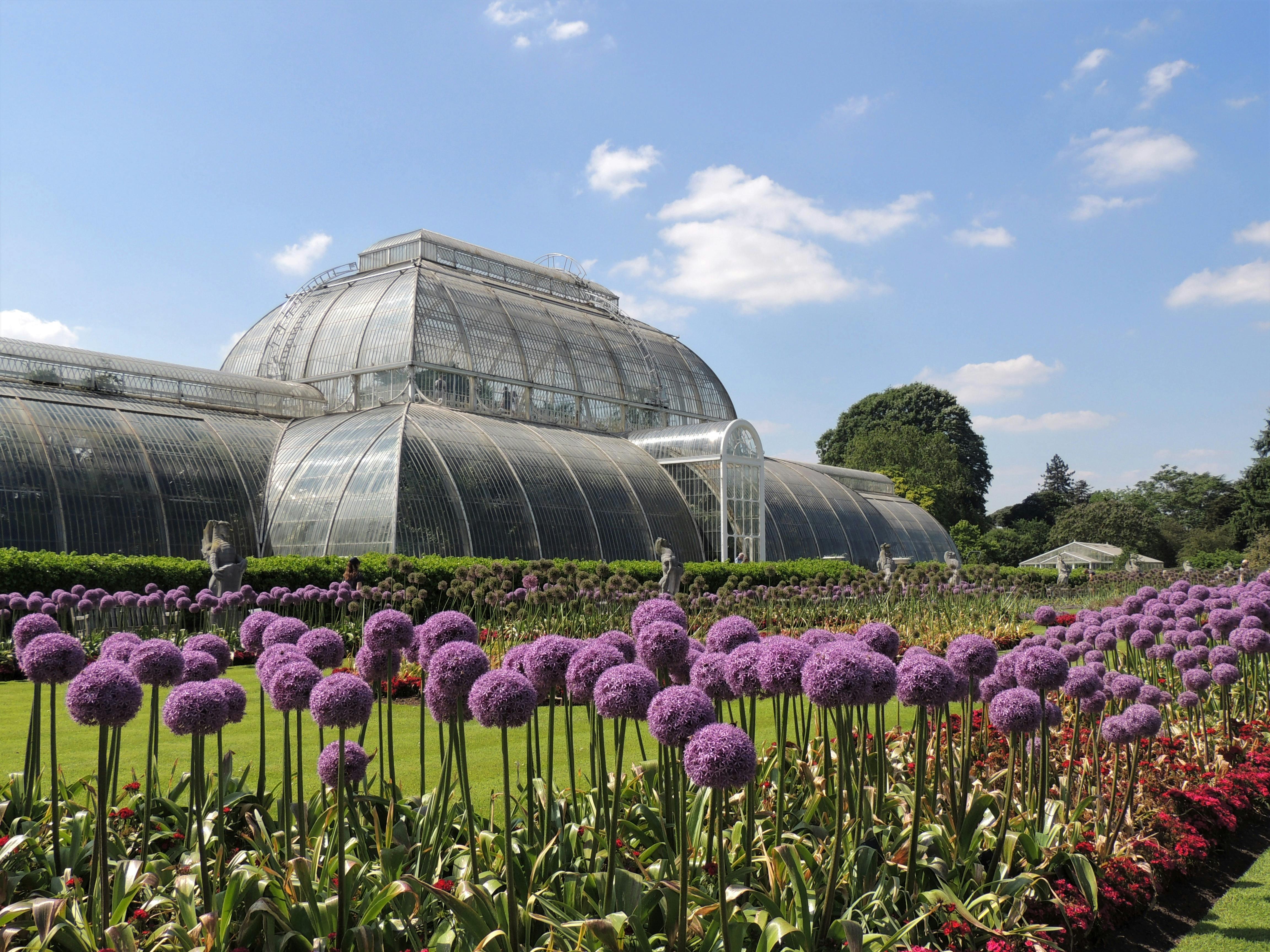 Private London: Kew Gardens, Richmond & Ted Lasso Tour