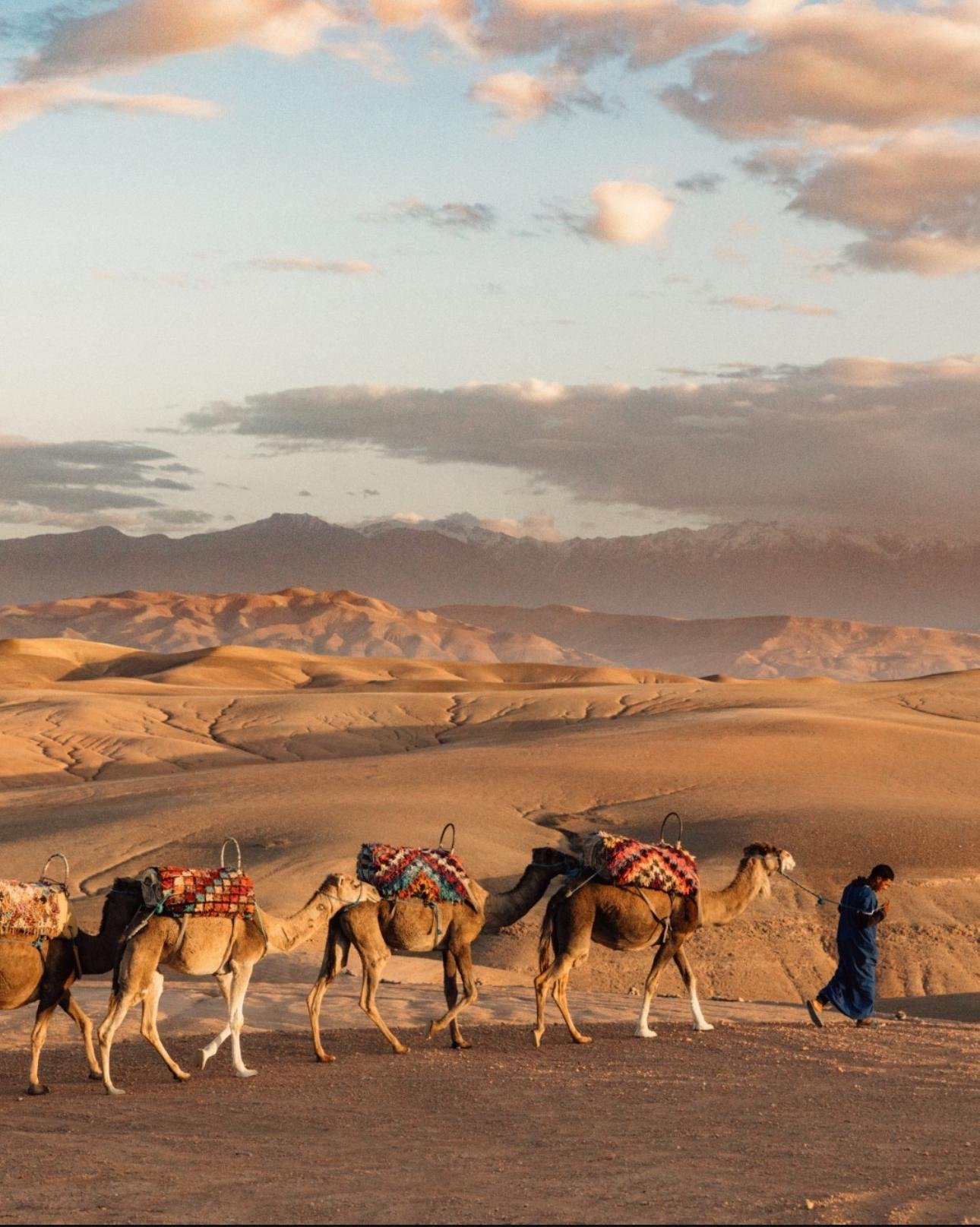 Agafay Desert Sunset, Camel Ride & Berber Dinner Show from Marrakech