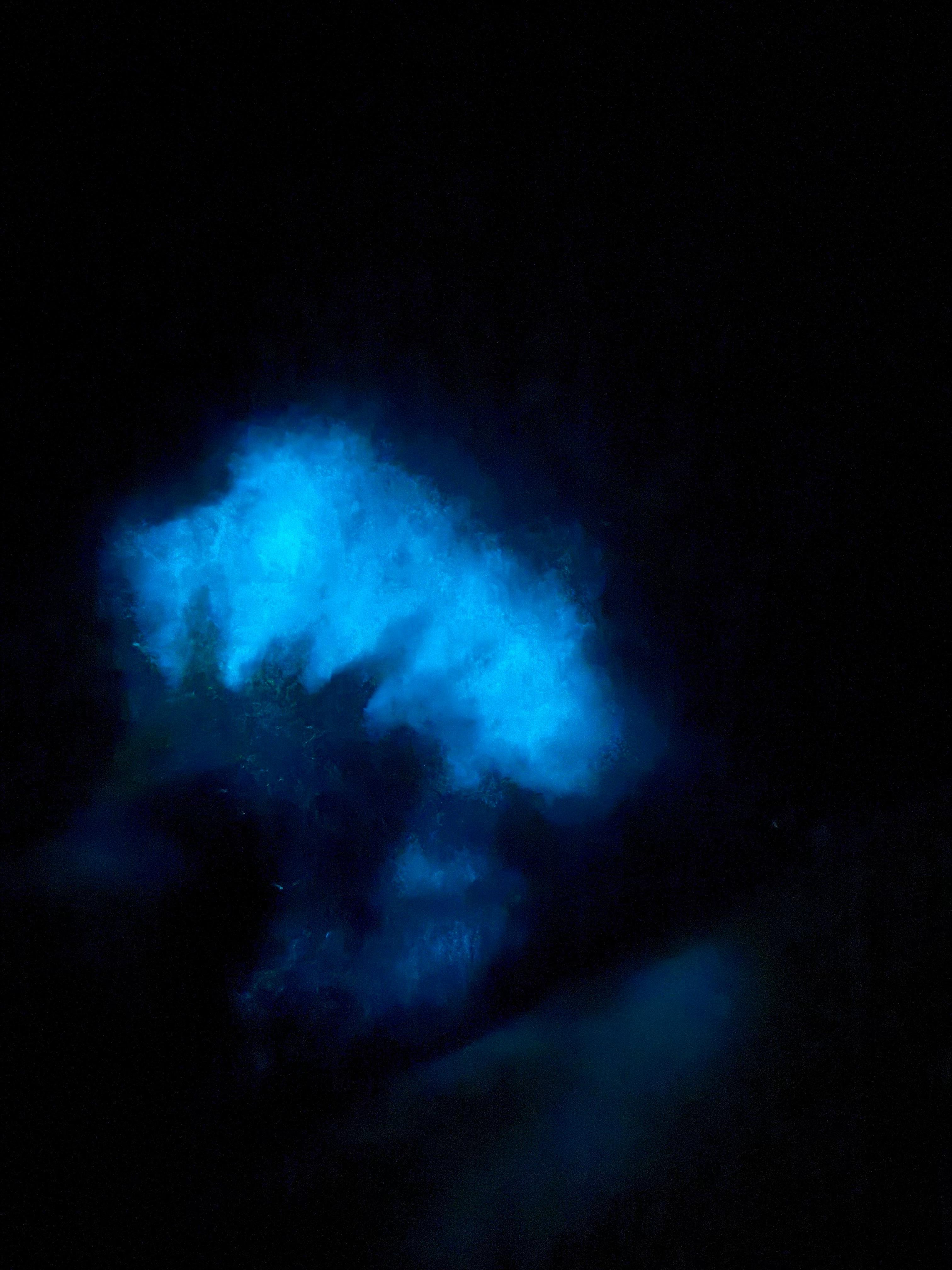 Vieques Bioluminescent Bay Transparent Canoe Adventure