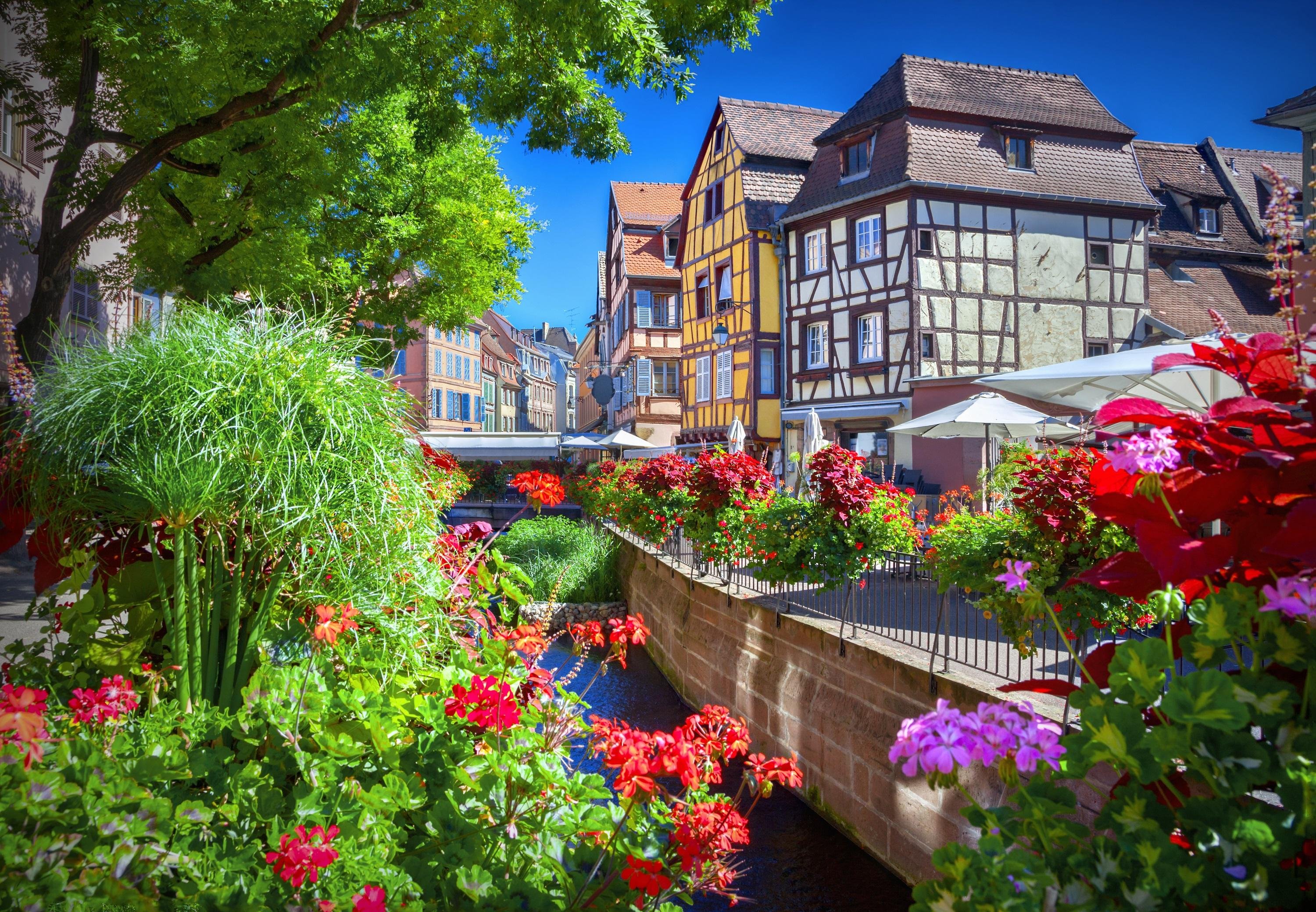 Full-Day Alsace Highlights Tour from Strasbourg