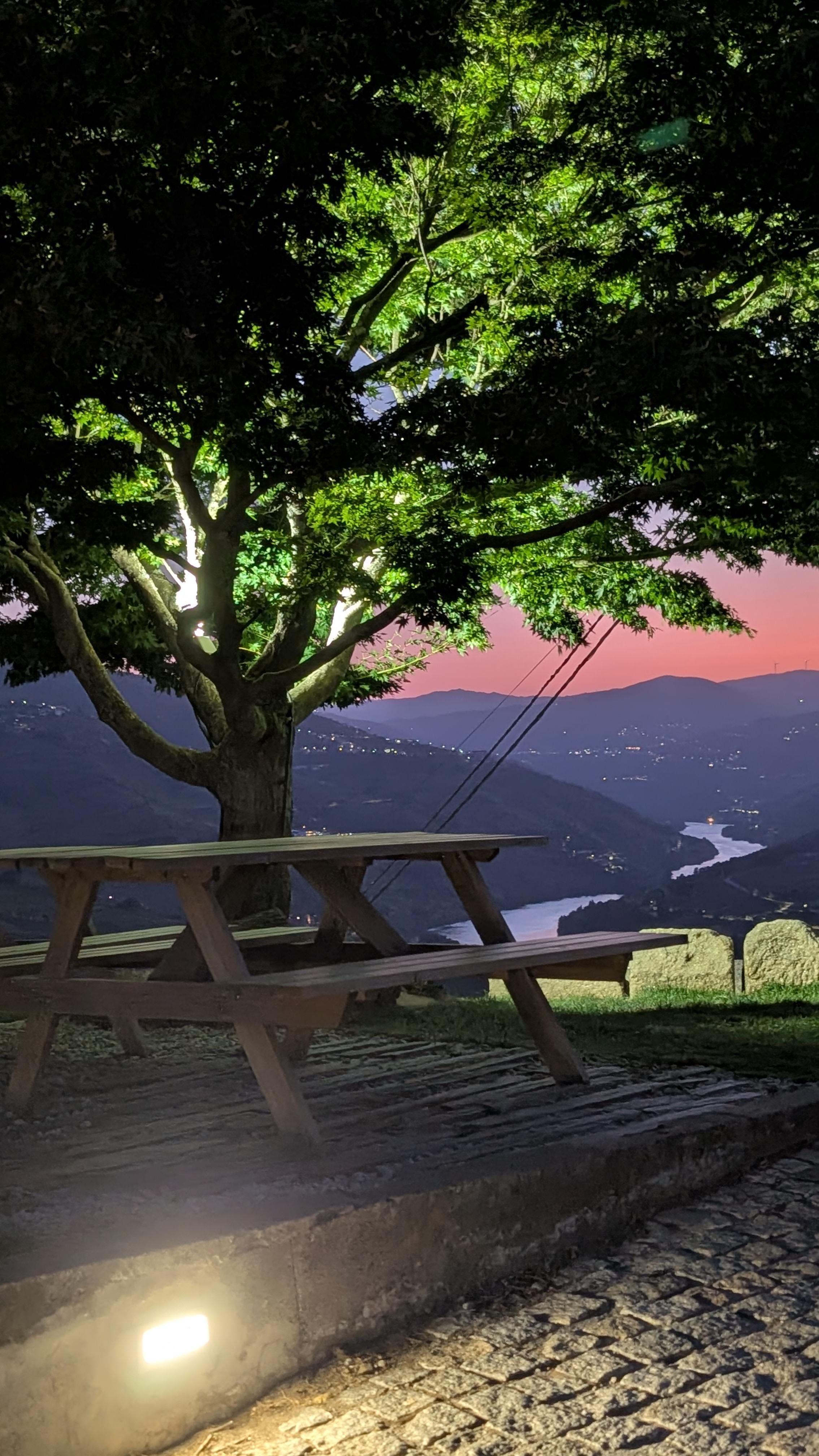 Porto: Douro Valley & Vinho Verde Day Tour with Tastings, Lunch & Boat Cruise