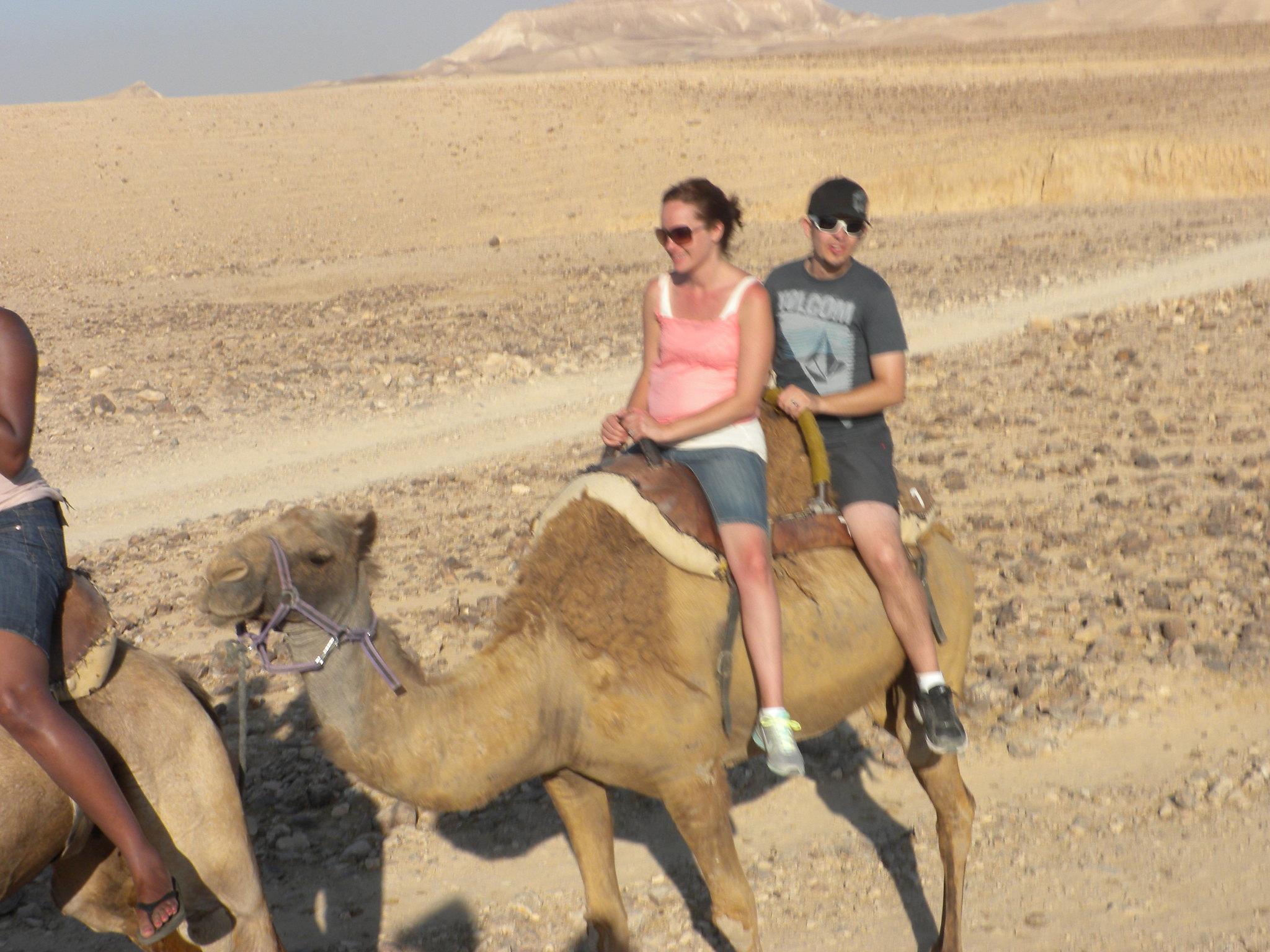 Agadir Camel Trekking Adventure with Refreshments