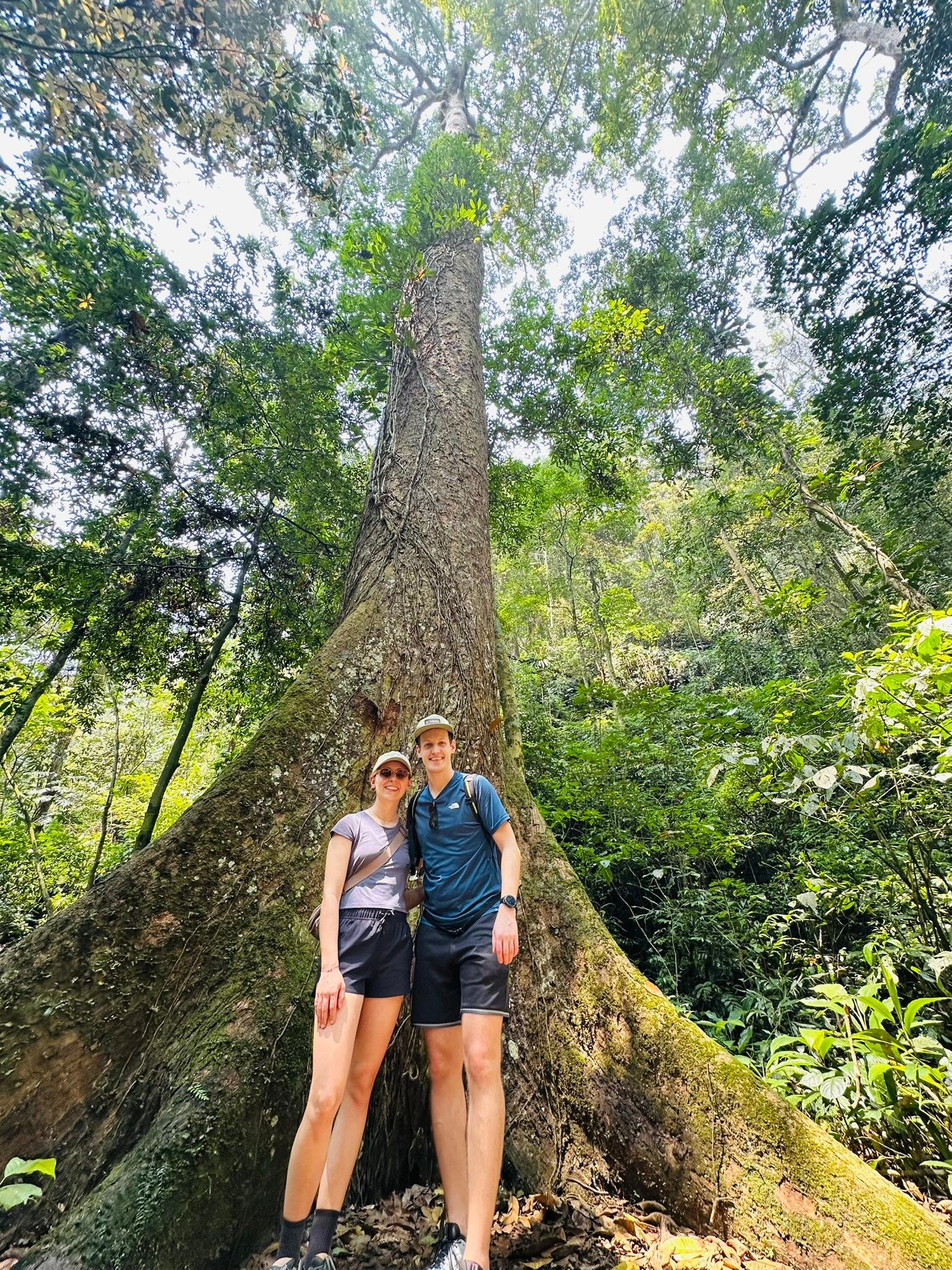 Cuc Phuong National Park Day Trek & Bear Sanctuary from Ninh Binh