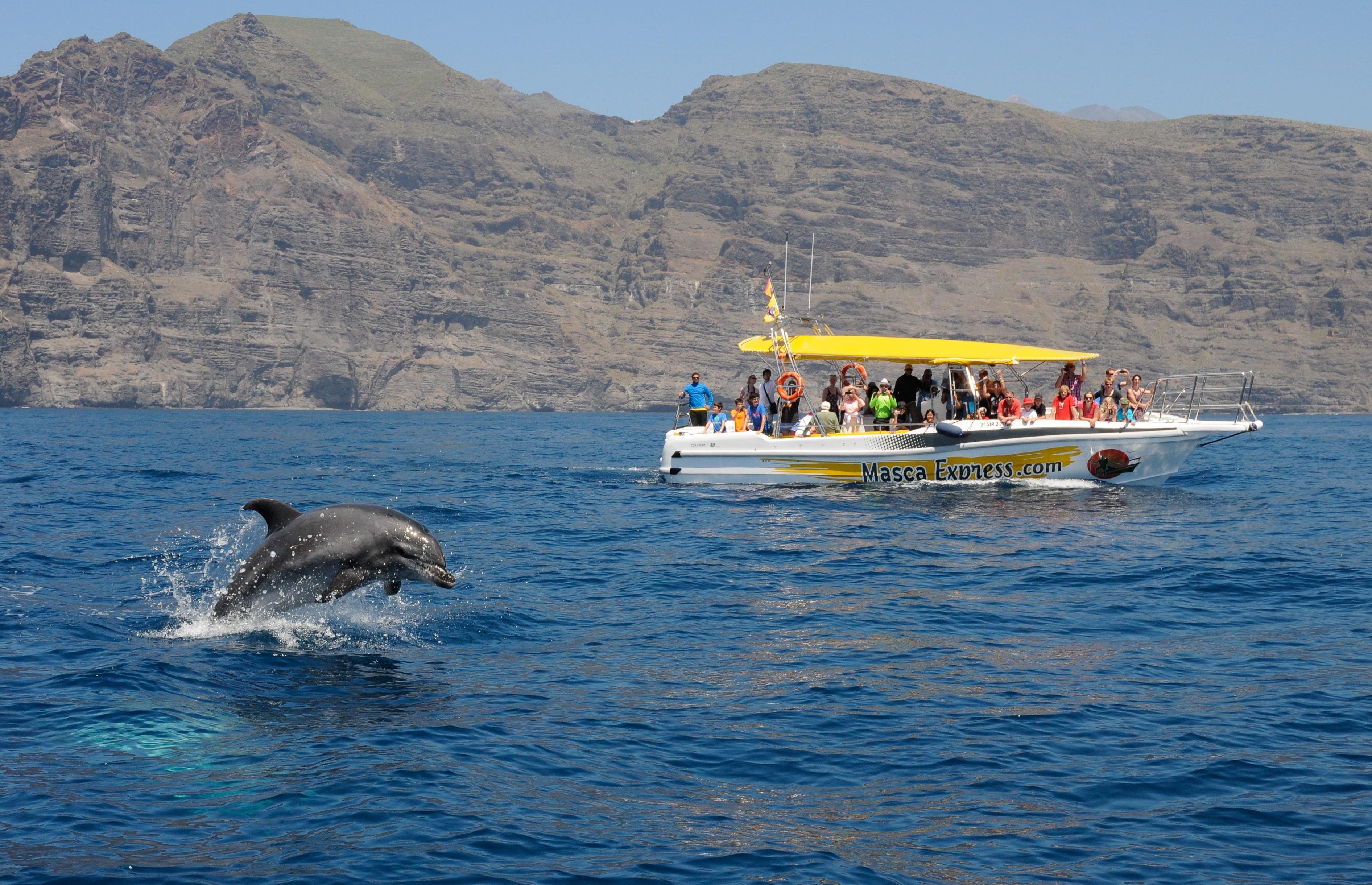 Los Gigantes Whale & Dolphin Cruise with Bay Swim