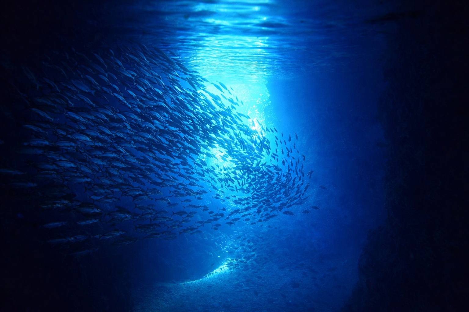 【Okinawa】Blue Cave Snorkeling Tour with Free Benefits