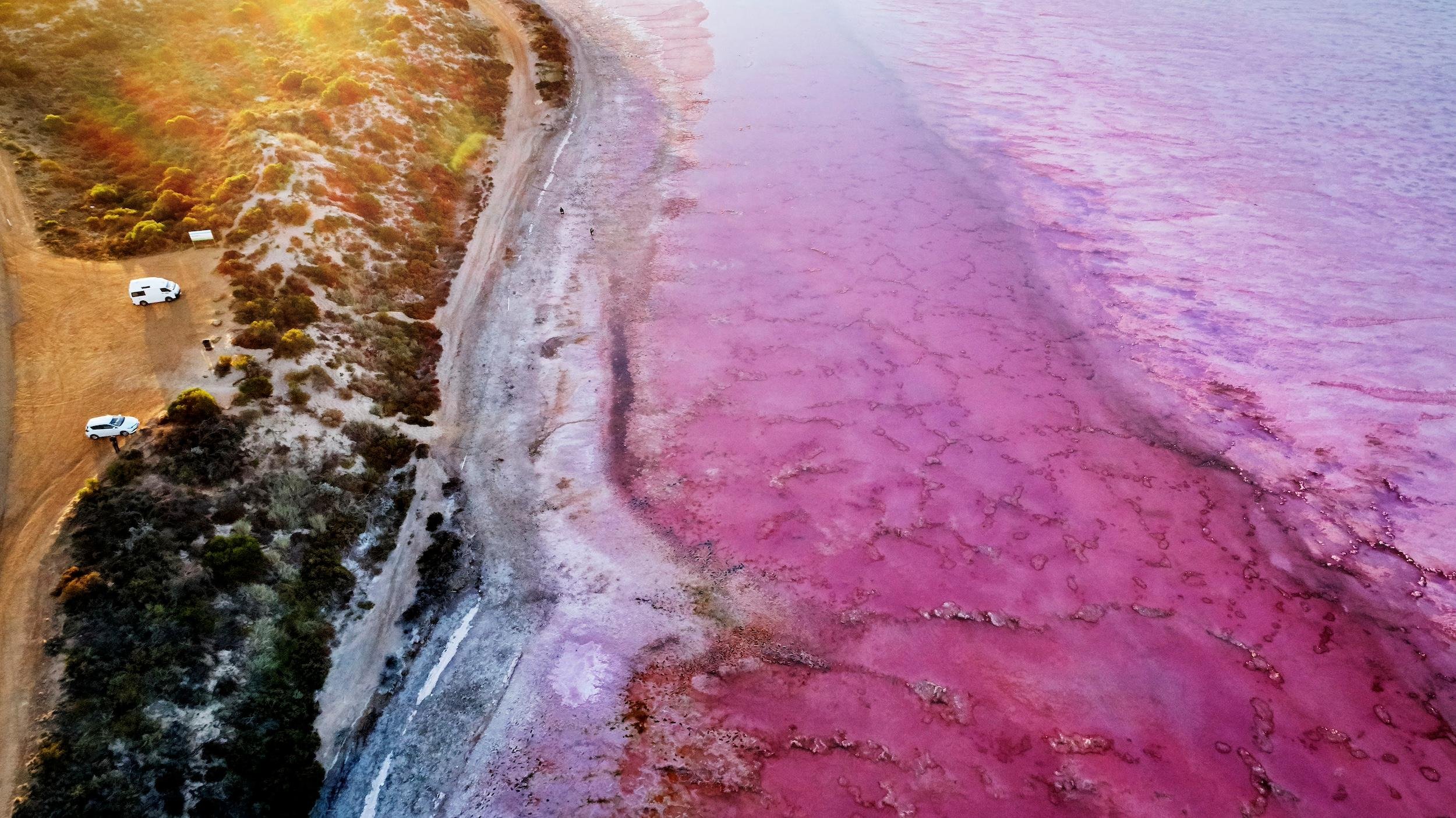 Pink Lake & Kalbarri Coastal Cliffs Half-Day Tour