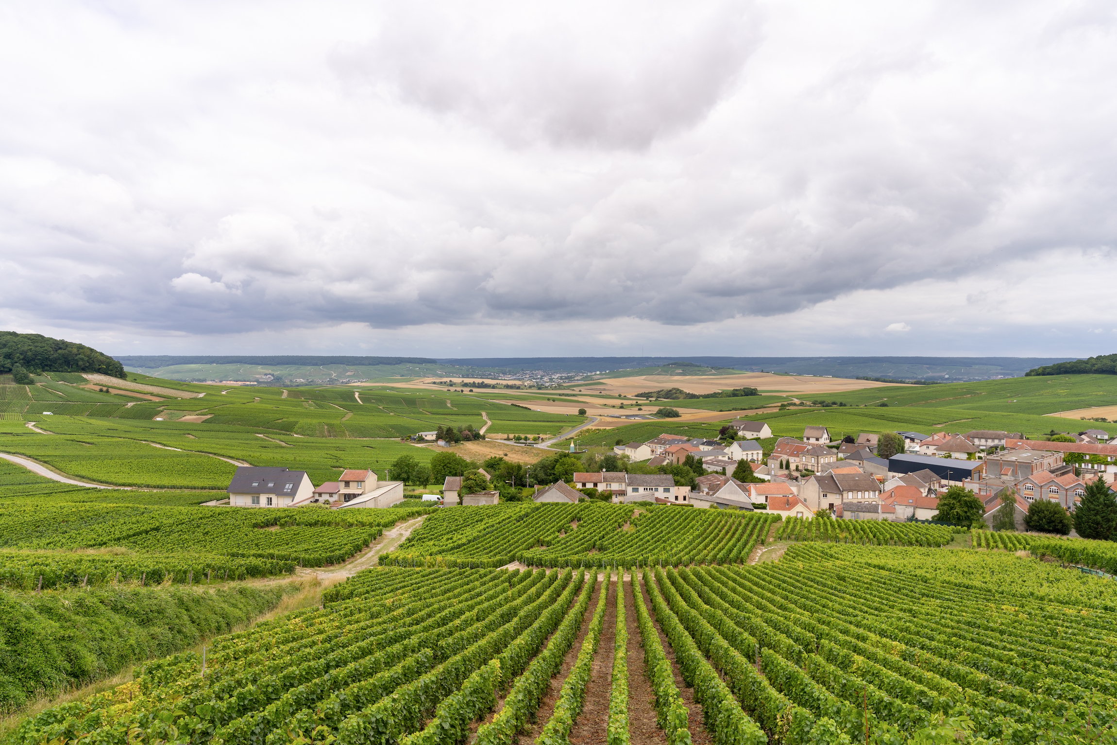 Champagne Day Trip from Paris with 8 Tastings & Lunch