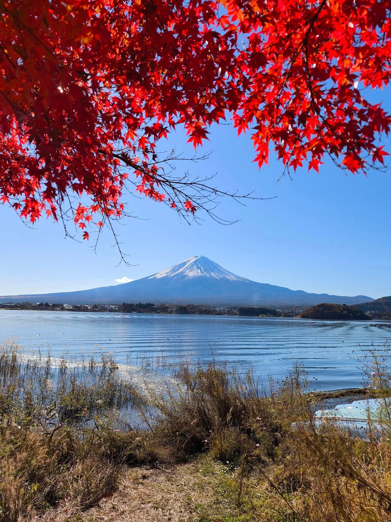 Mount Fuji Private Photo Day Trip from Tokyo – 5 Iconic Spots