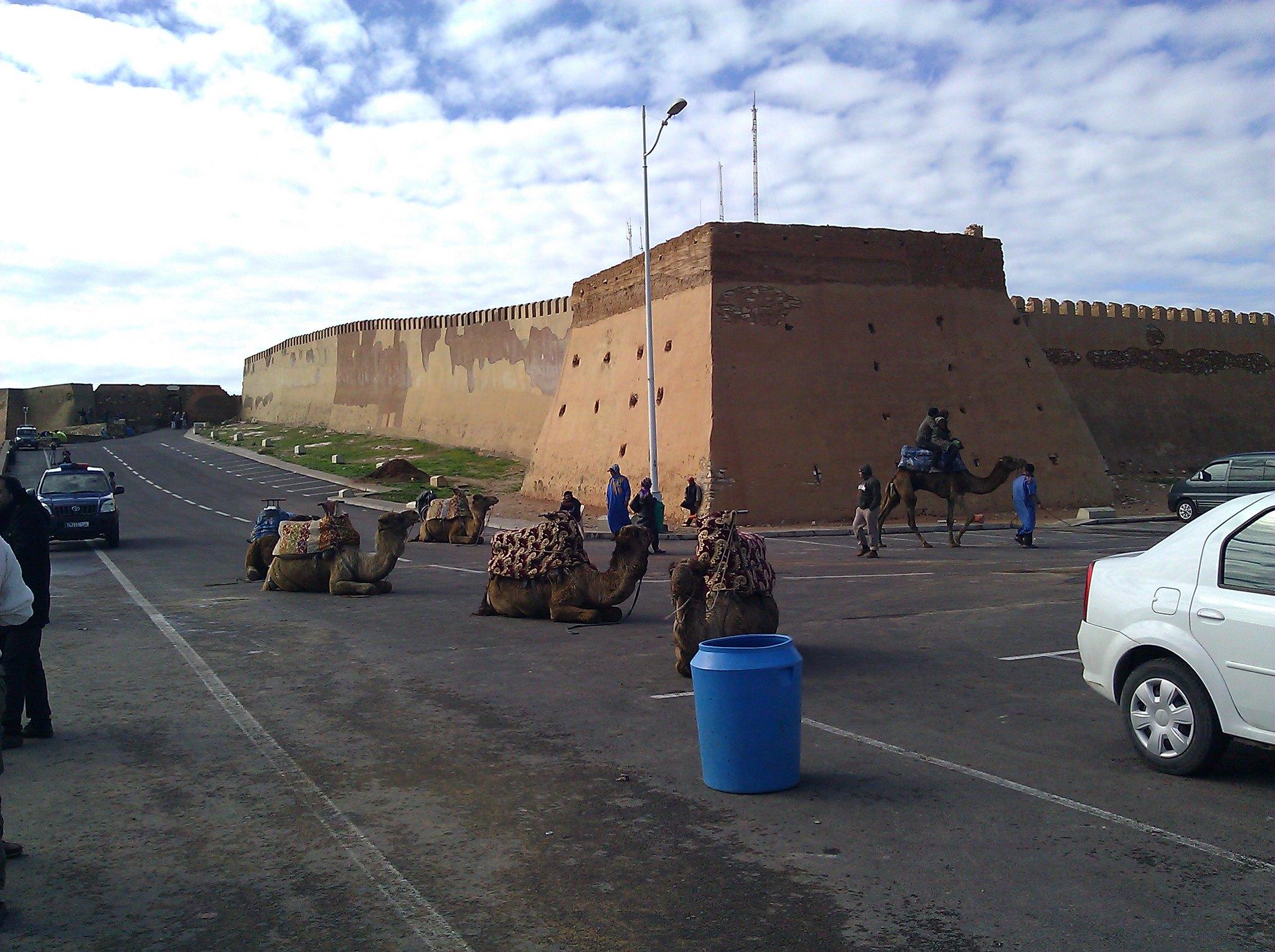 Agadir Highlights: Kasbah, Souk, and Marina City Tour