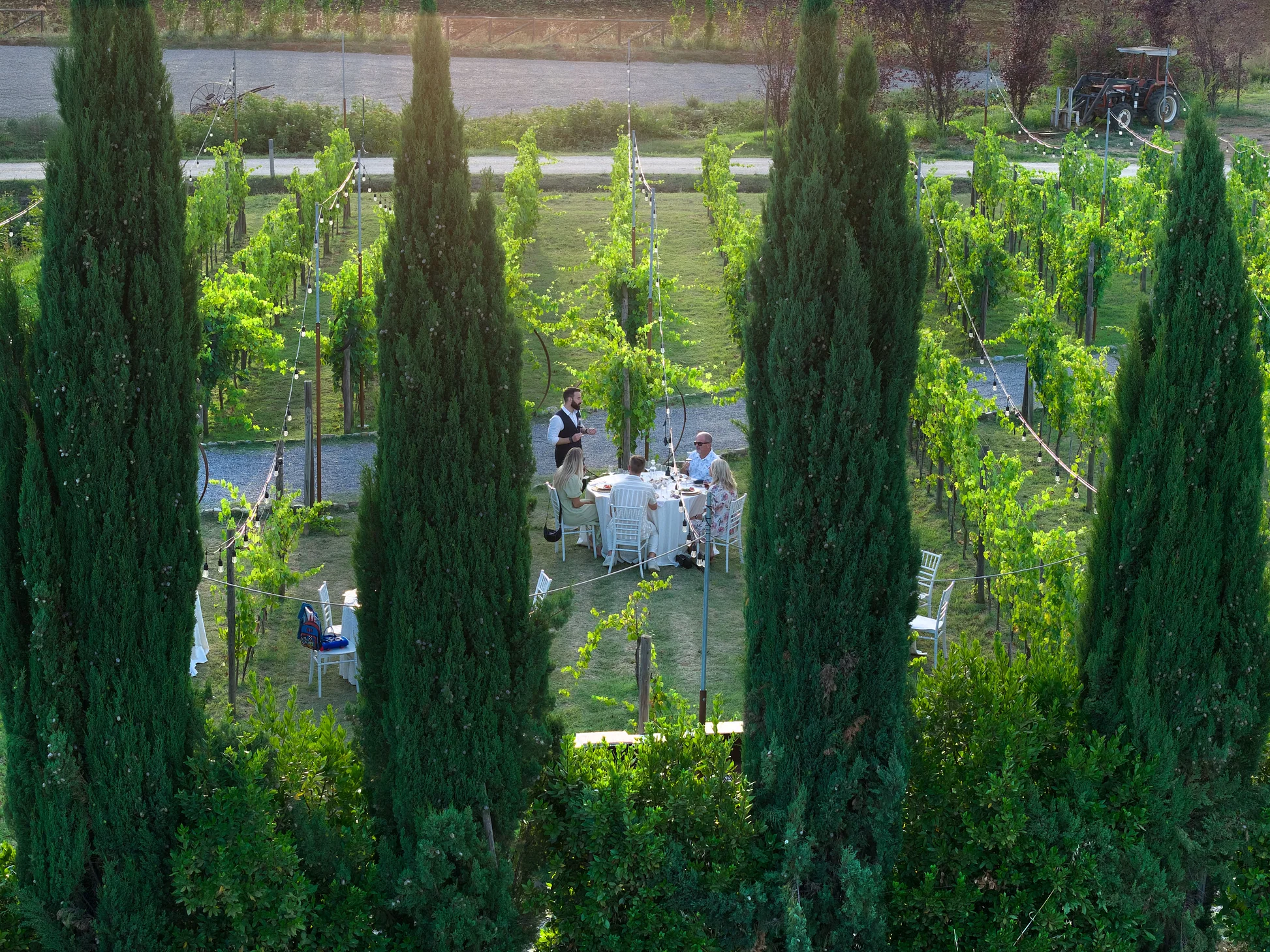 Chianti Vineyard Dinner & Wine Tasting Experience