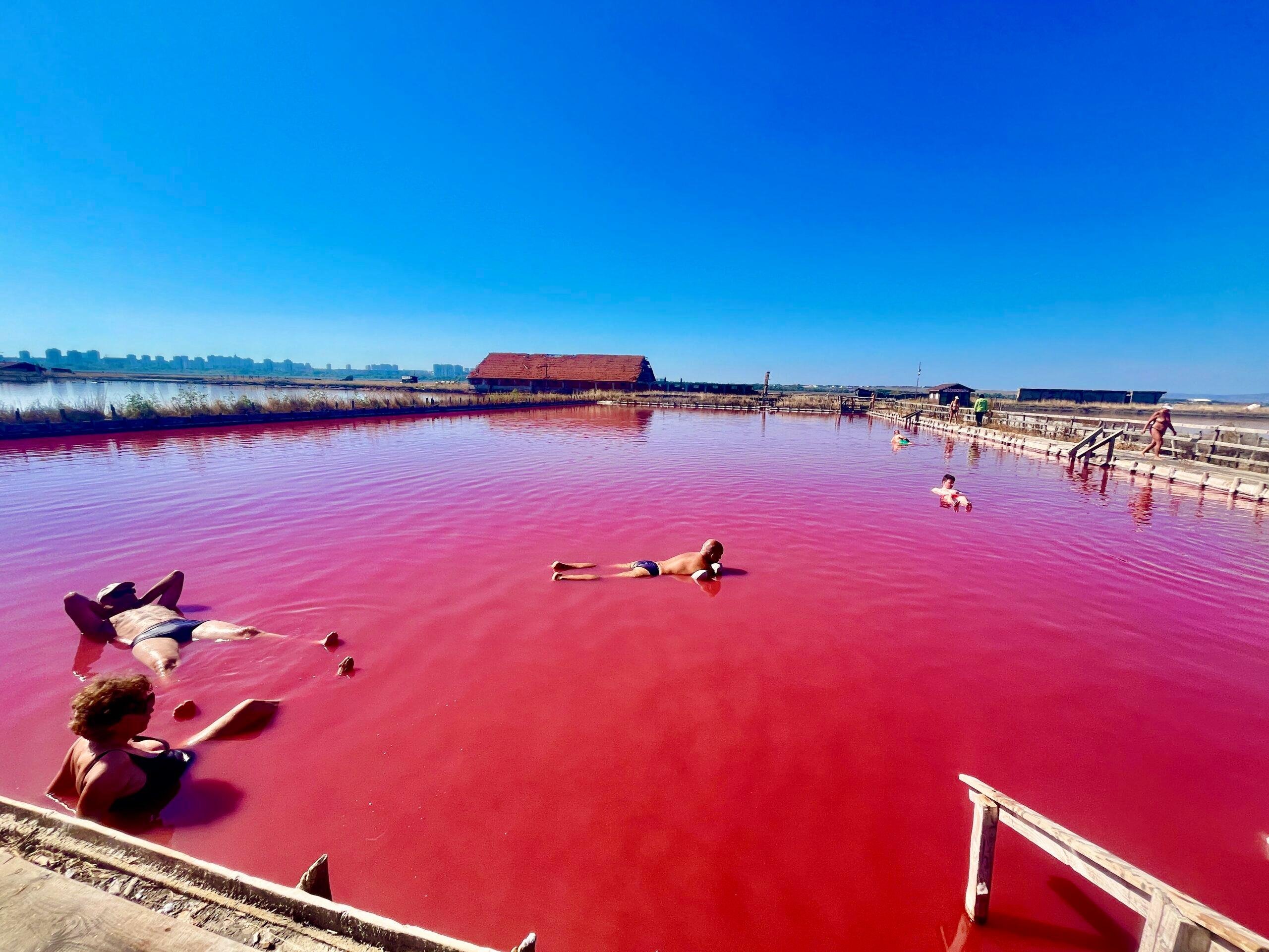 Salt Lakes & Mud Baths Half-Day Experience