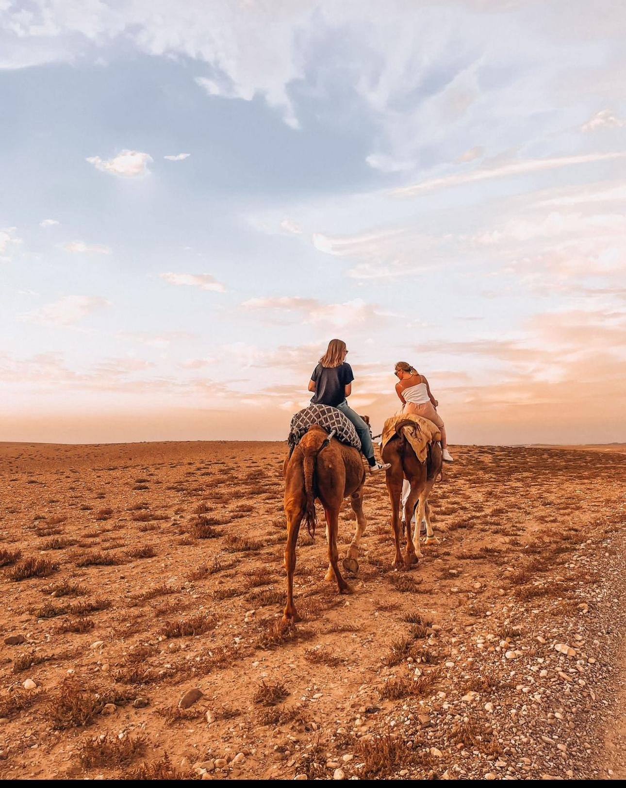 Agafay Desert Adventure: Quad Biking, Camel Ride & Berber Dinner Show