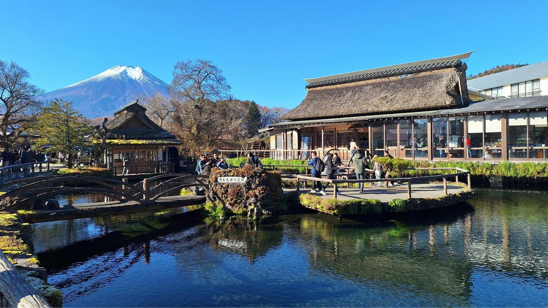 Mt. Fuji Iconic Views & Photography Day Trip from Tokyo