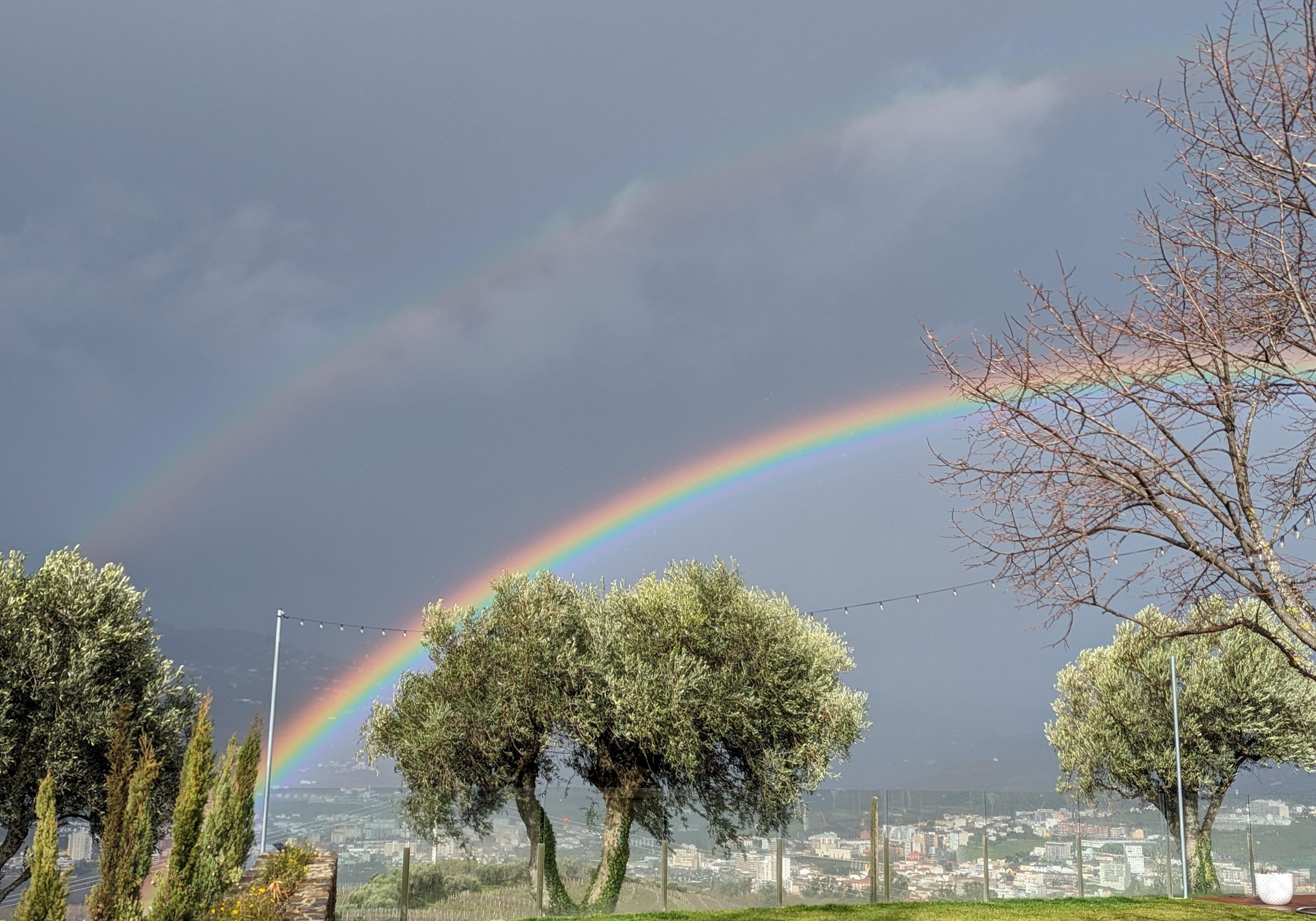 Porto: Douro Valley & Vinho Verde Day Tour with Tastings, Lunch & Boat Cruise
