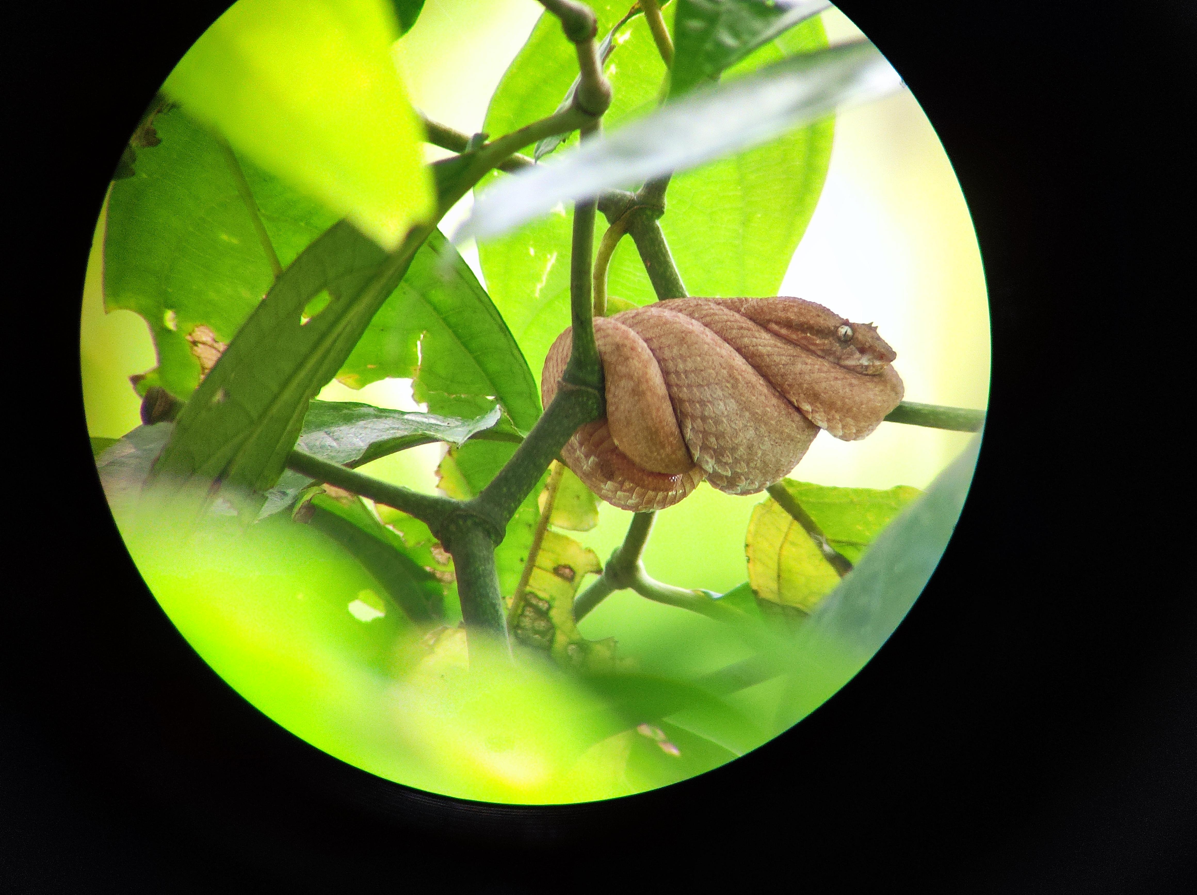 Gandoca-Manzanillo Nature Refuge & Bribri Chocolate Experience