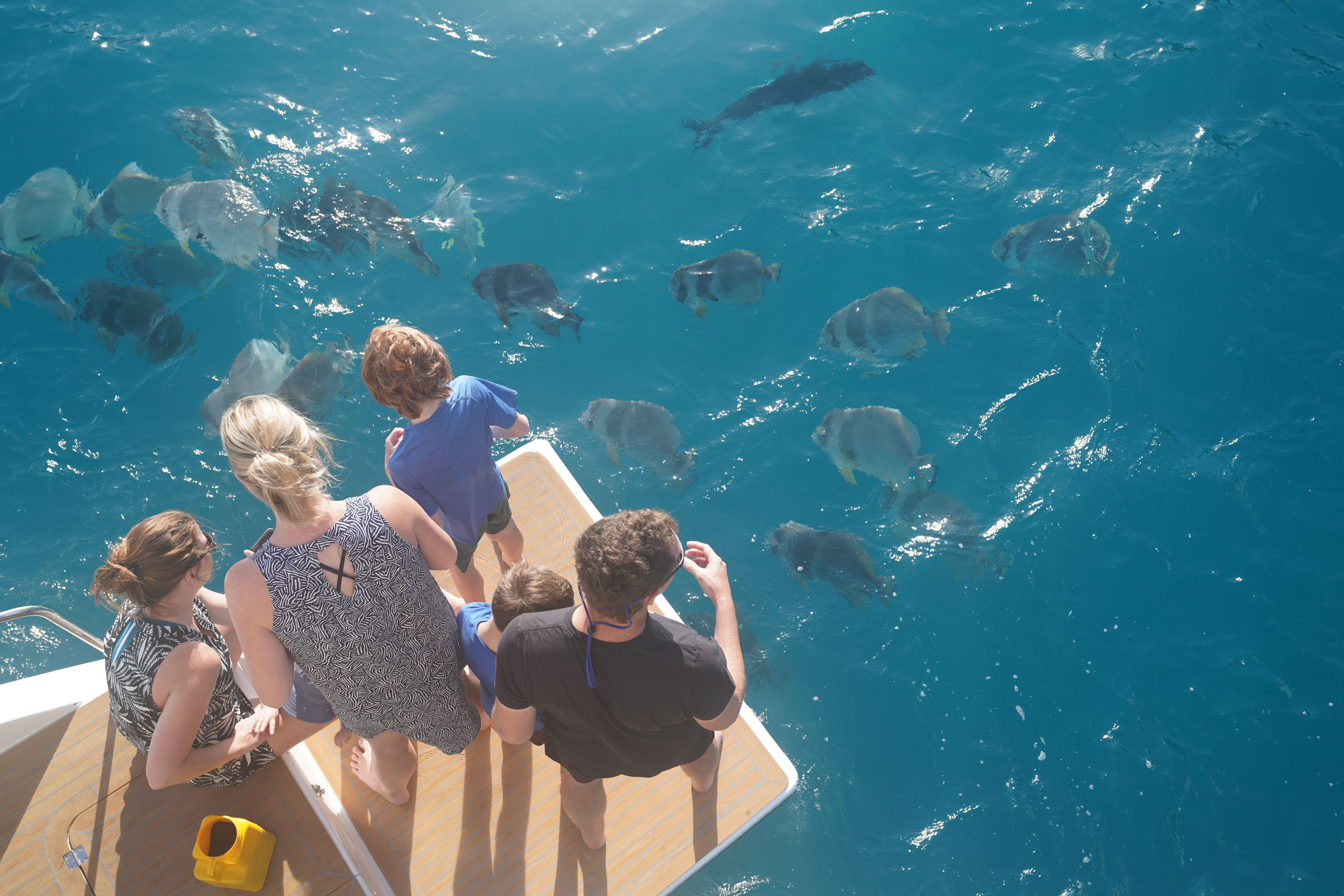 Whitsundays Luxury Catamaran Sail, Snorkel & SUP Day Tour
