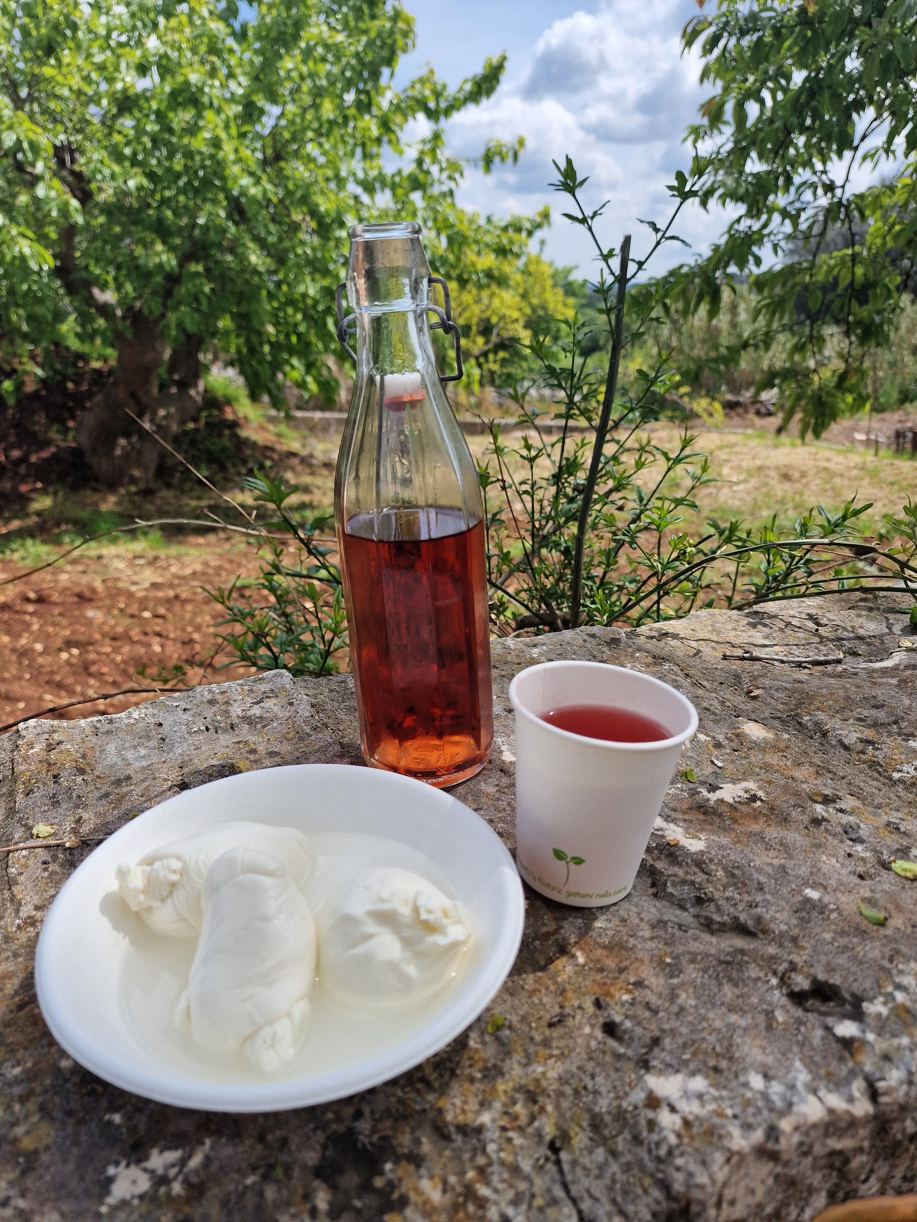 Private Puglia Discovery: Alberobello, Cheese Tasting & Valle d'Itria