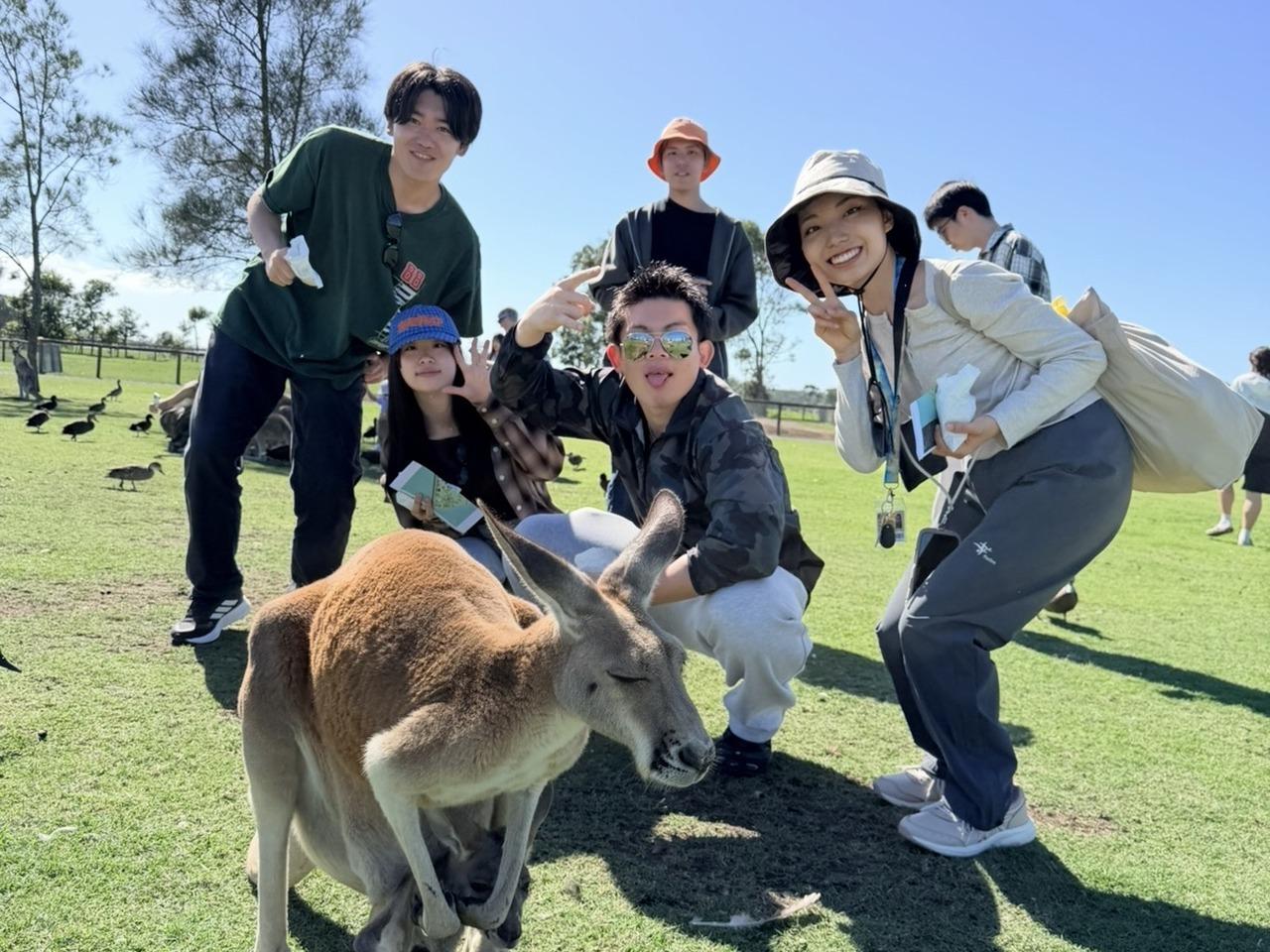 Port Stephens Wildlife Adventure: Dolphins, Koalas & Kangaroos