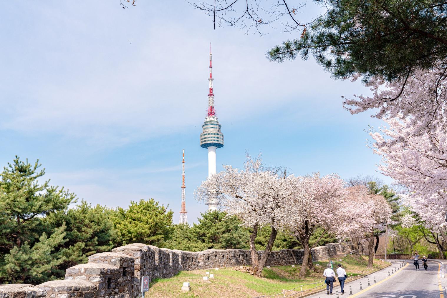 N Seoul Tower Observatory Entry Ticket